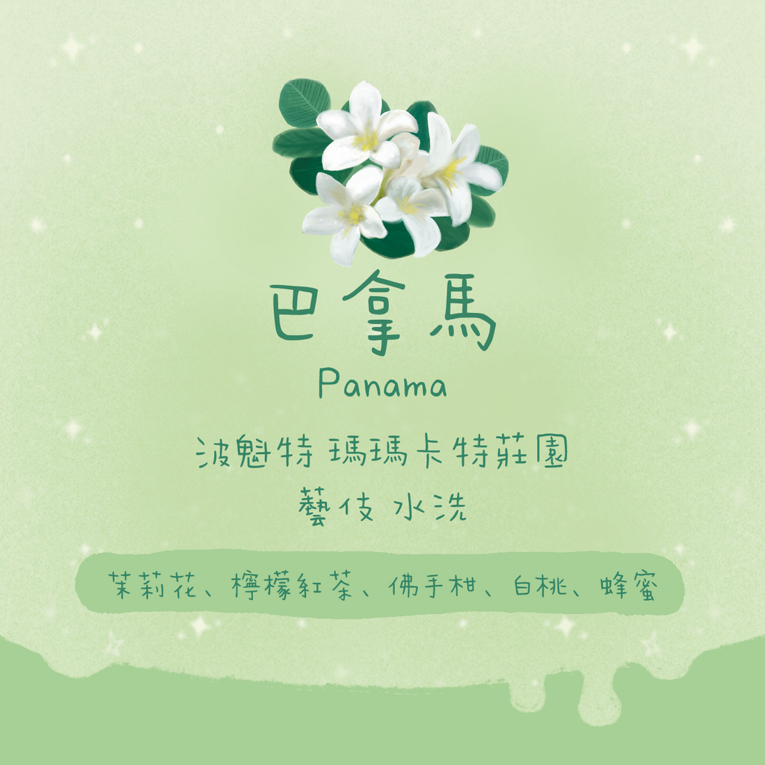 【超正必買🎊】巴拿馬|波魁特 瑪瑪卡特莊園 藝伎 水洗 淺焙|咖啡豆 掛耳包