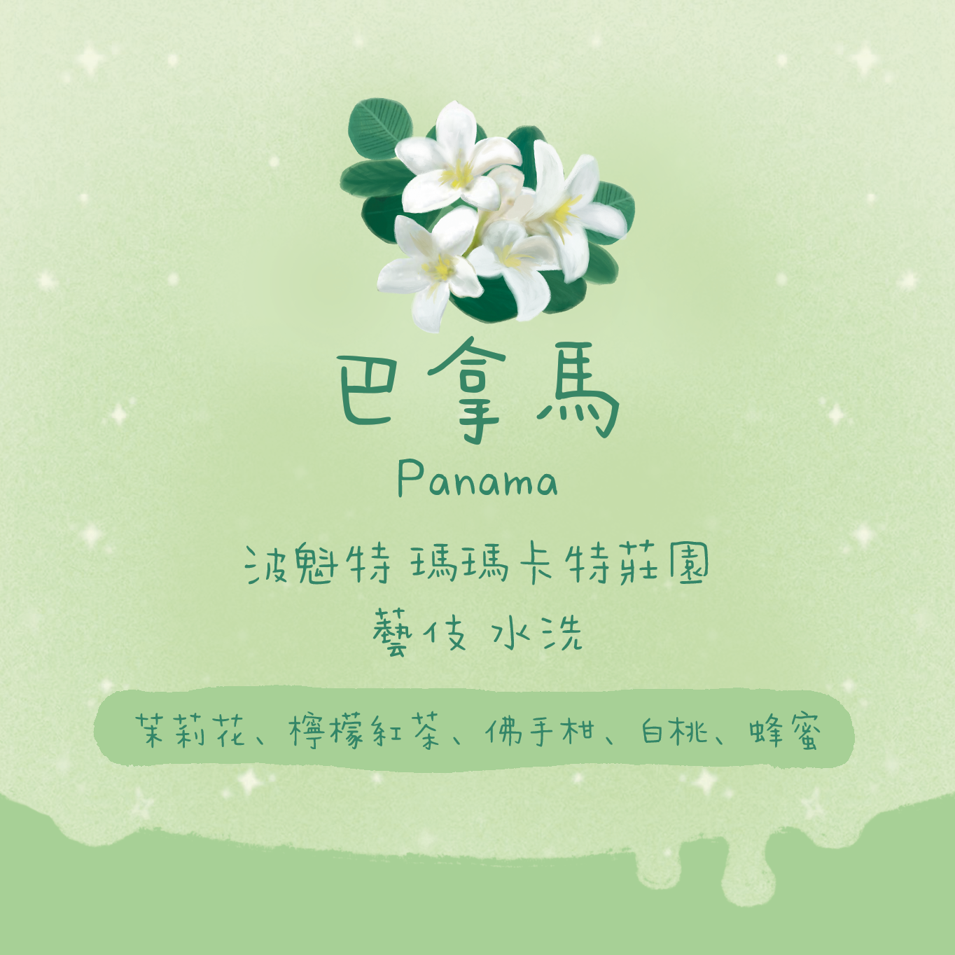 【超正必買🎊】巴拿馬|波魁特 瑪瑪卡特莊園 藝伎 水洗 淺焙|咖啡豆 掛耳包