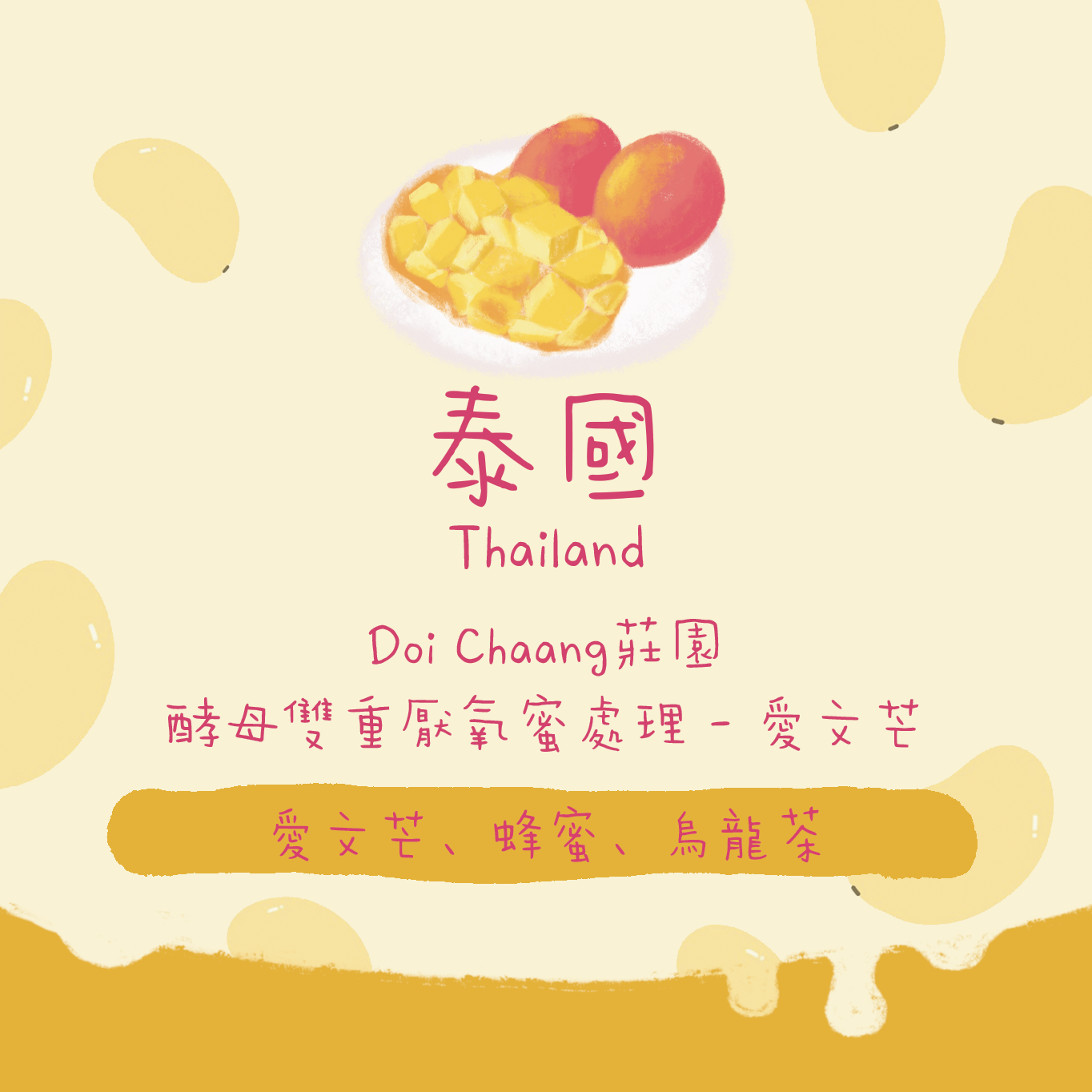 【最後幾包 - 愛文芒】泰國|Doi Chaang莊園 酵母雙重厭氧蜜處理 愛文芒 淺焙|咖啡豆 掛耳包