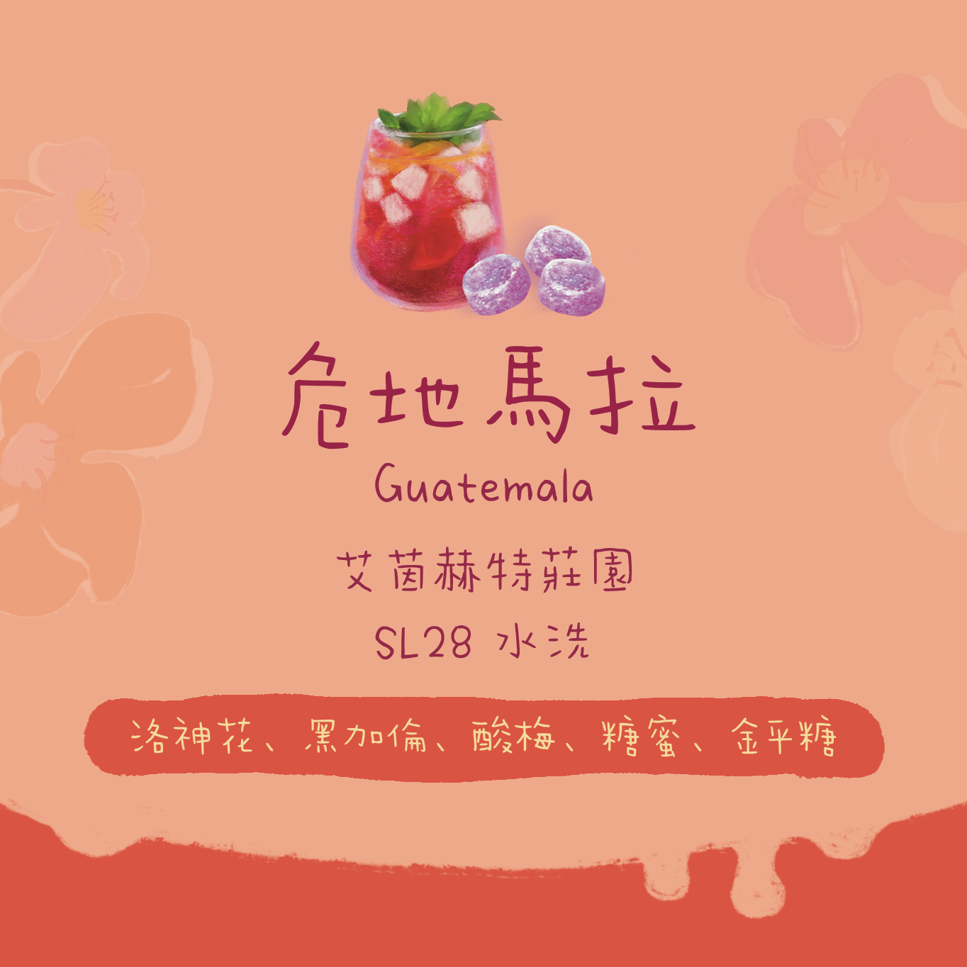 【COE獲獎莊園莊園】危地馬拉|艾茵赫特莊園 SL28 水洗 淺焙|咖啡豆 掛耳包