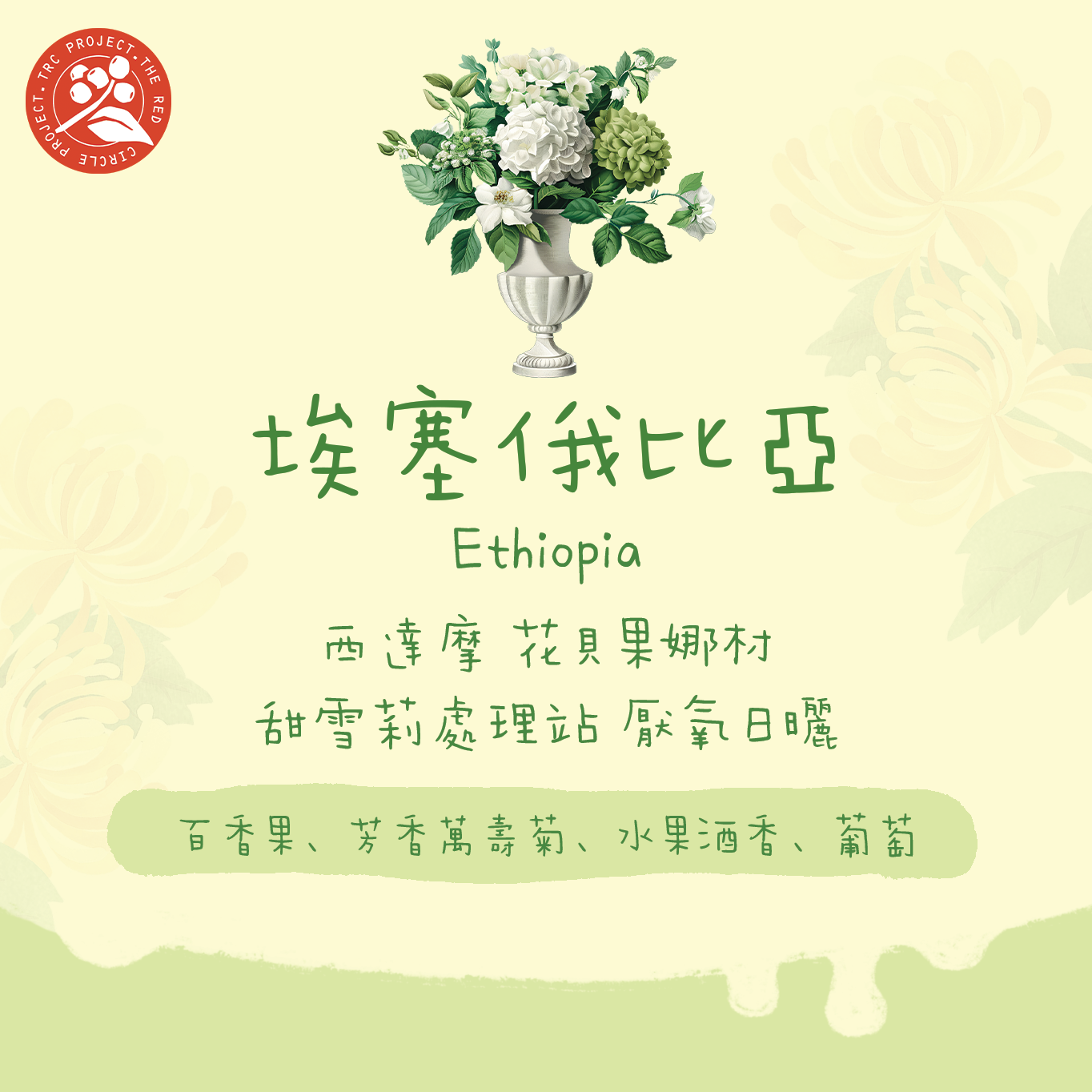 【最新厭氧花貝】埃塞俄比亞|花貝果娜 紅圈計畫 西達摩 74158 TOP G1 厭氧處理 淺焙|咖啡豆 掛耳包