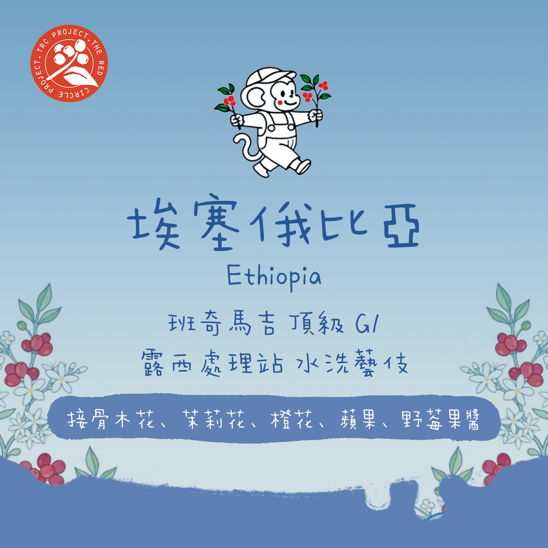 【最新批次✨】埃塞俄比亞|班奇馬吉 露西藝伎 水洗 頂級G1 淺焙|咖啡豆 掛耳包