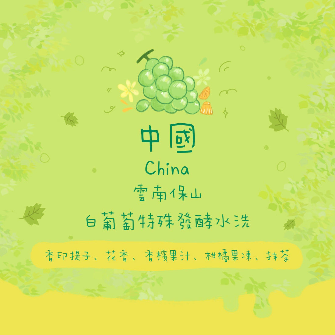 【香印提子🍇】中國|雲南保山 白葡萄特殊發酵水洗淺焙|咖啡豆 掛耳包