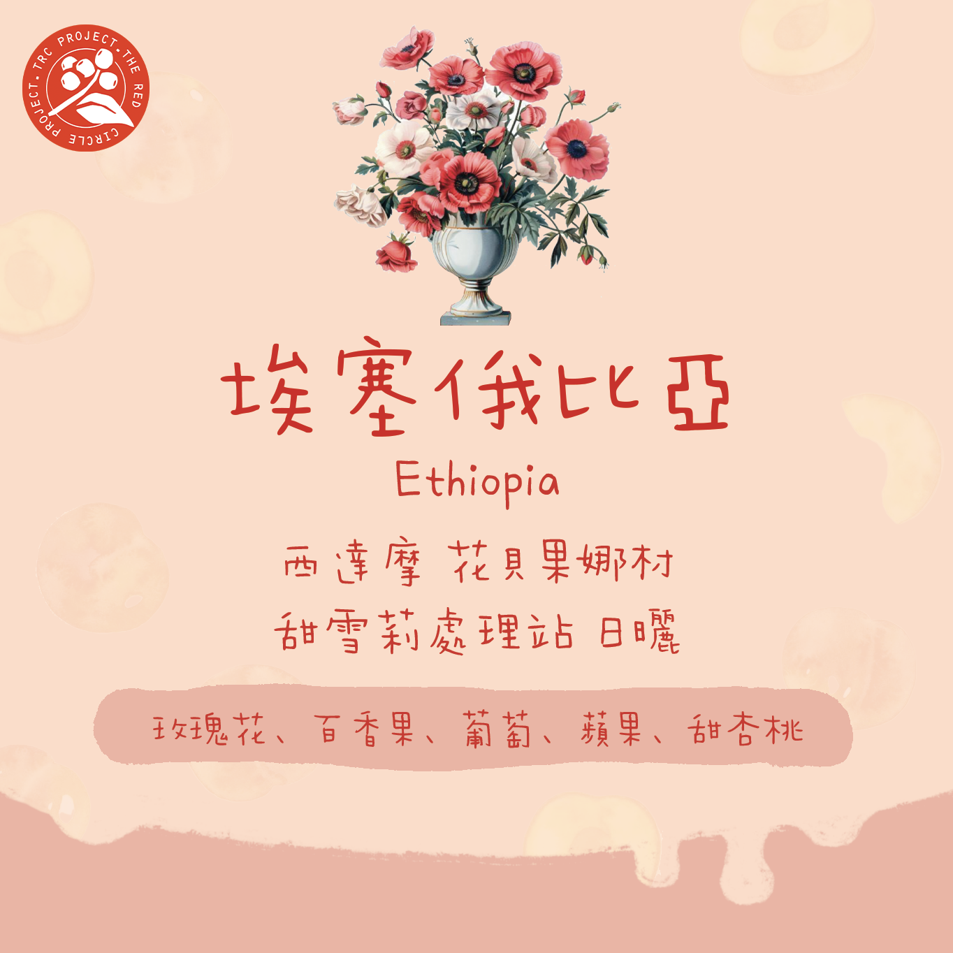 2024新批次】埃塞俄比亞｜花貝果娜紅圈計畫西達摩74158 TOP G1 日曬淺焙｜咖啡豆掛耳包- 小鯨咖啡Little Whale Coffee  – Little