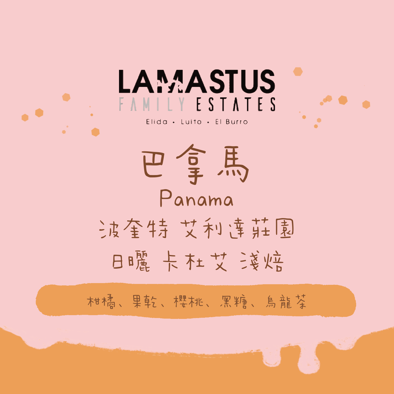 【必買推薦😍 - 少量】巴拿馬|波奎特 艾利達莊園 卡杜艾 日曬 淺焙|咖啡豆 掛耳包