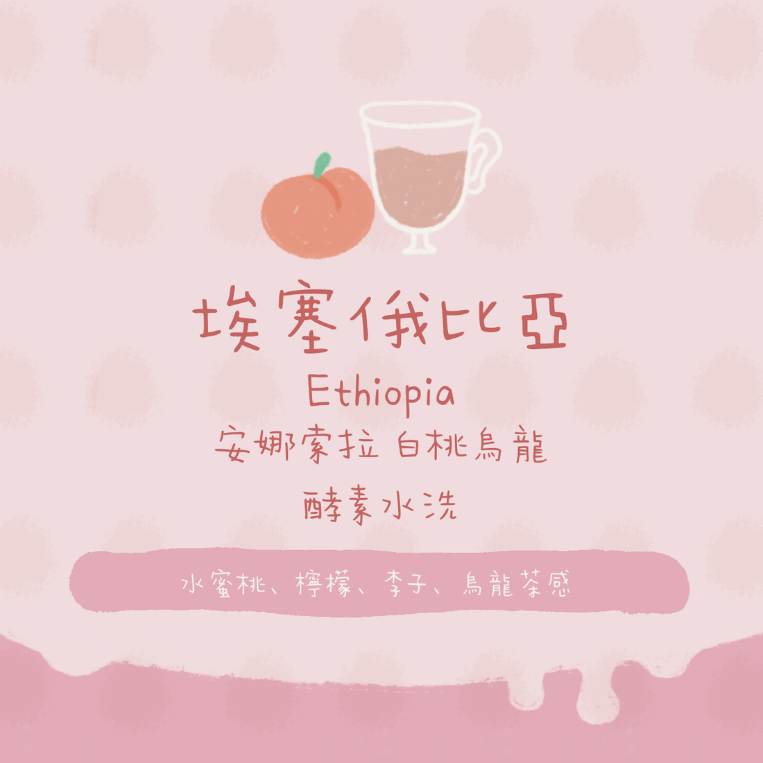 埃塞俄比亞|安娜索拉  白桃烏龍批次 酵素水洗 淺焙|咖啡豆 掛耳包