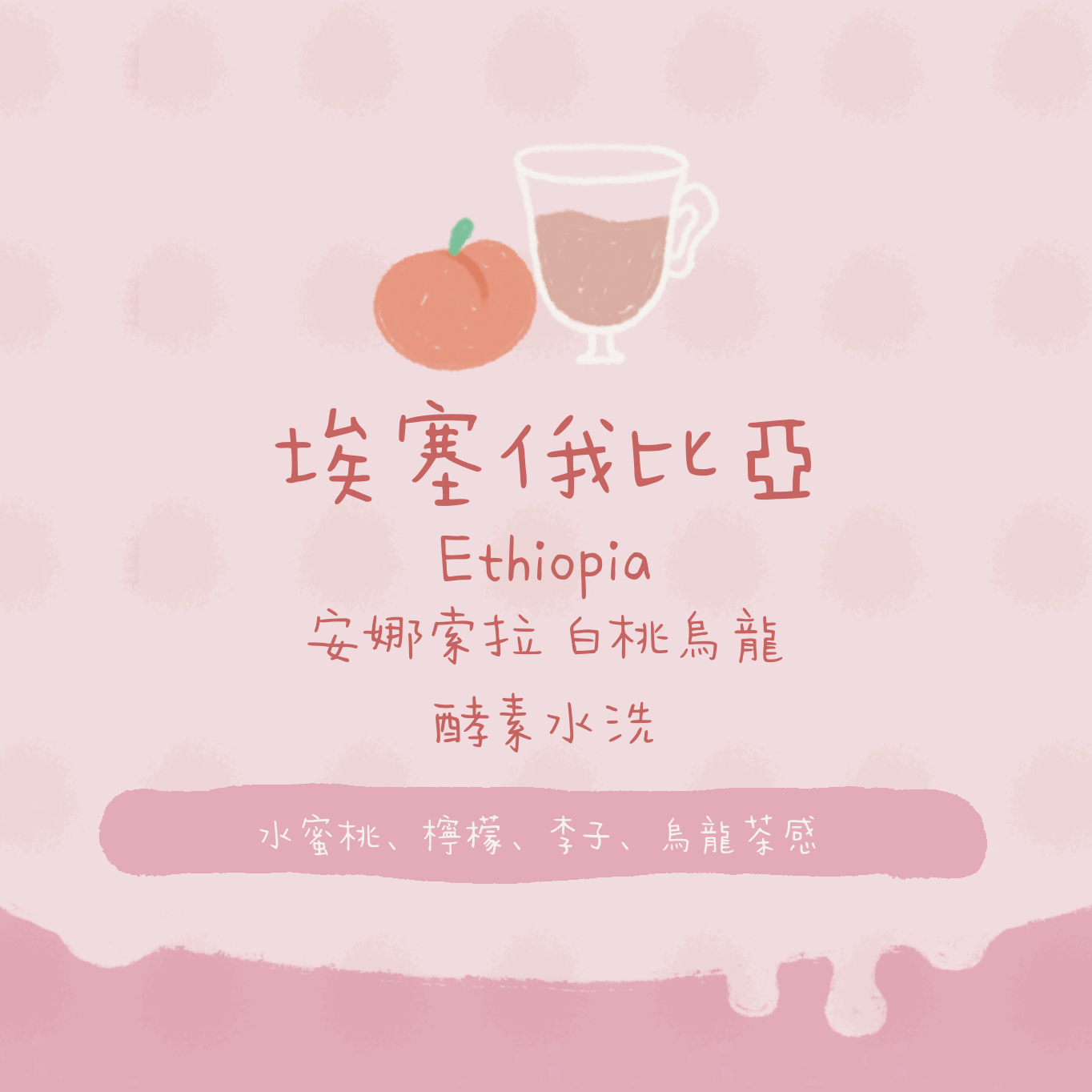 埃塞俄比亞|安娜索拉 白桃烏龍批次 酵素水洗 淺焙|咖啡豆 掛耳包