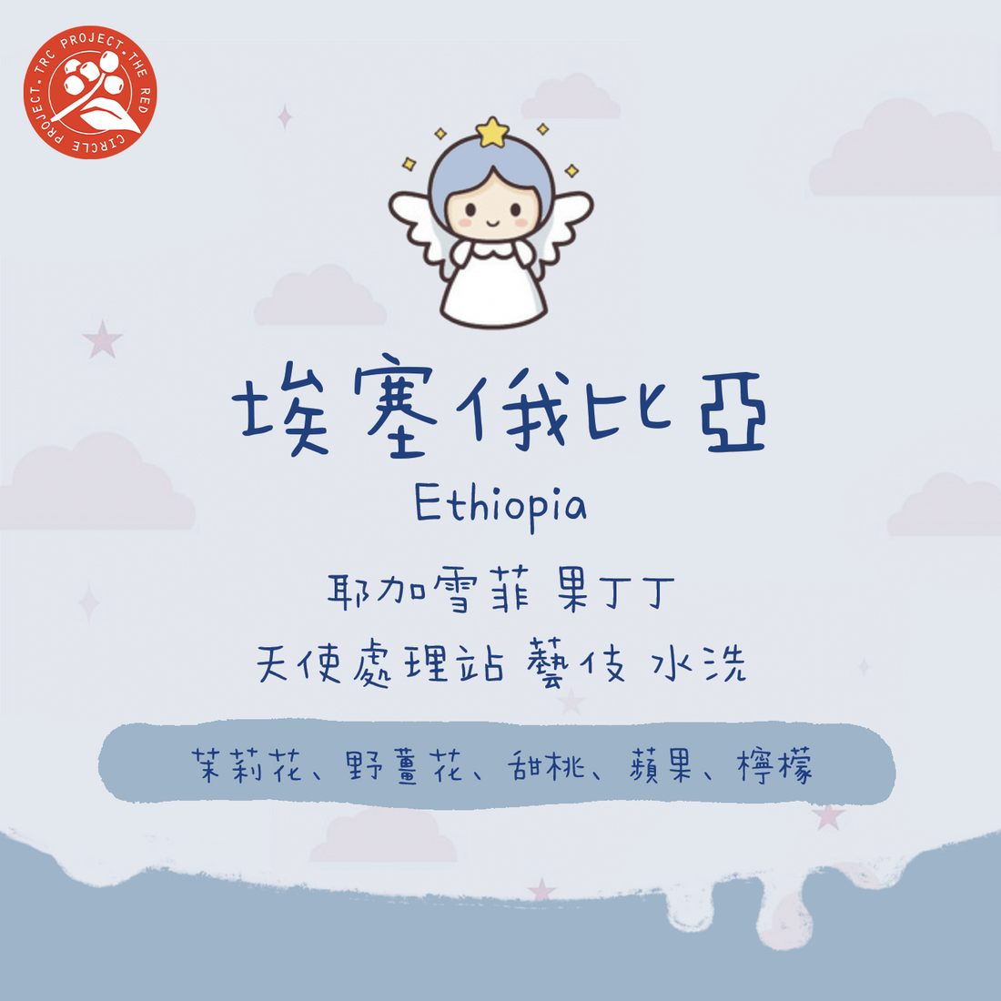 【天使藝伎】埃塞俄比亞|耶加雪菲 果丁丁 天使 藝伎 TOP G1 水洗 淺焙|咖啡豆 掛耳包