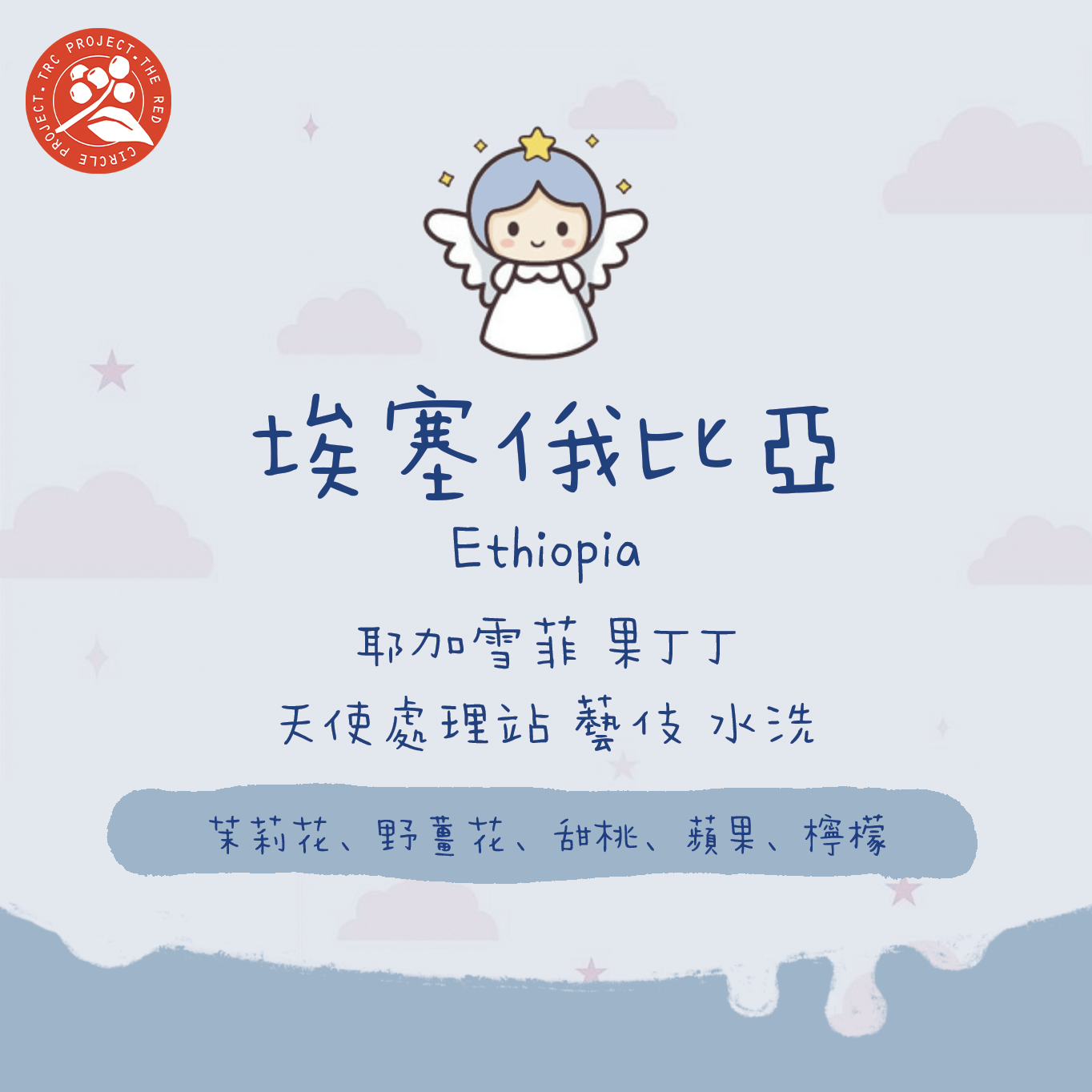 【天使藝伎】埃塞俄比亞|耶加雪菲 果丁丁 天使 藝伎 TOP G1 水洗 淺焙|咖啡豆 掛耳包