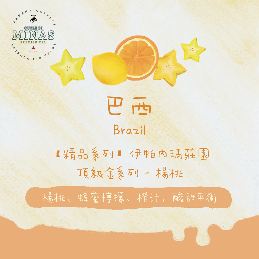 【2025台北咖啡展尋寶系列】巴西|伊帕內瑪莊園 頂級金系列 - 楊桃 厭氧日曬 淺焙|咖啡豆 掛耳包
