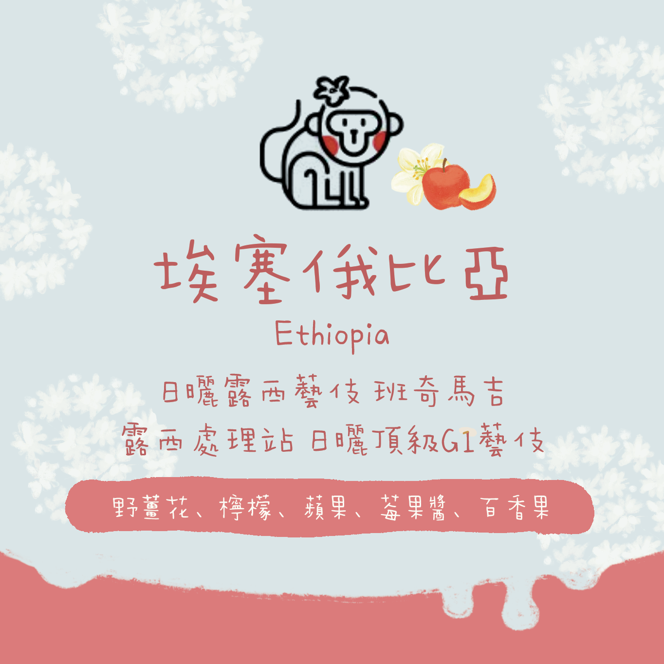 【最新批次】埃塞俄比亞|班奇馬吉 露西藝伎 日曬 頂級G1 淺焙|咖啡豆 掛耳包