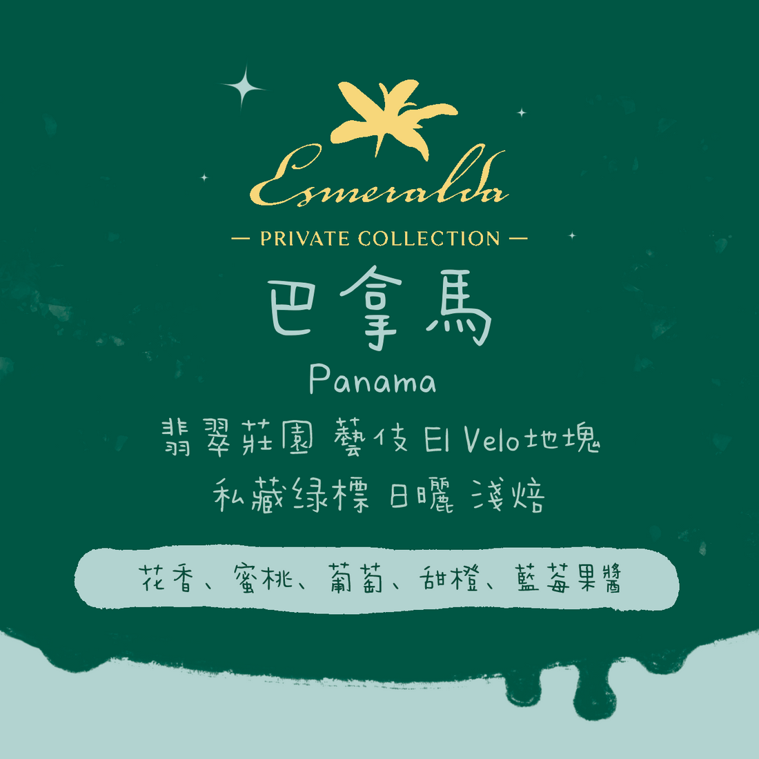 【2月19號21:00公開發售】巴拿馬|翡翠莊園 瑰夏/藝伎 El Velo 私藏綠標 淺焙|咖啡豆 掛耳包