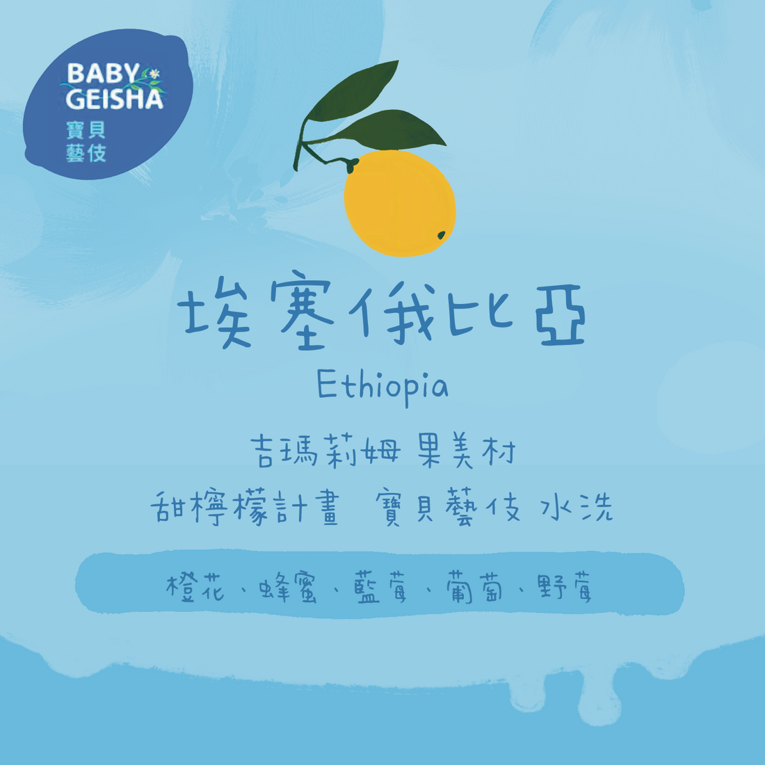 【最新2025baby】埃塞俄比亞| 吉瑪莉姆 果美村 甜檸檬計畫 寶貝藝伎 水洗 淺焙|咖啡豆 掛耳包
