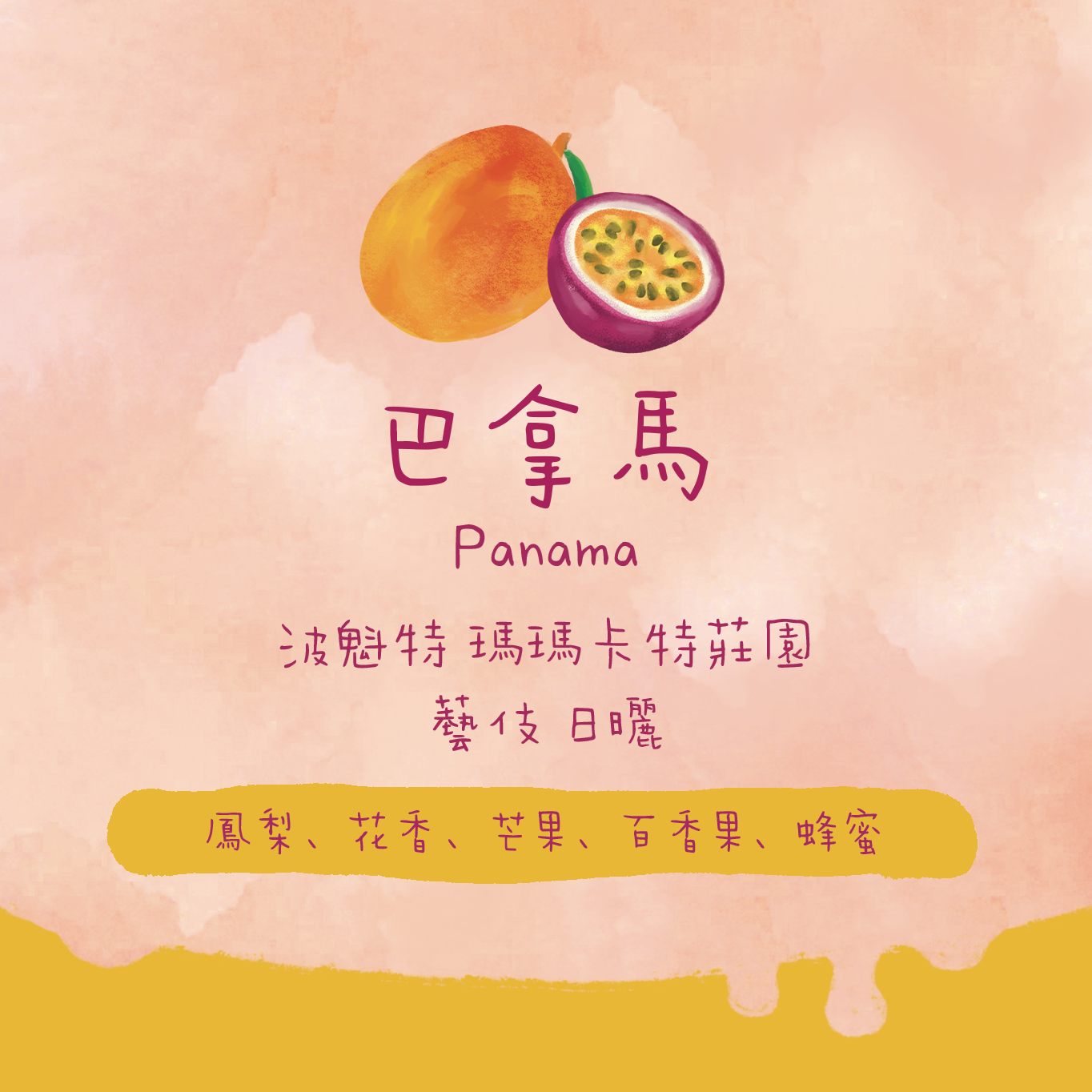 巴拿馬|波魁特 瑪瑪卡特莊園 藝伎 日曬 淺焙|咖啡豆 掛耳包