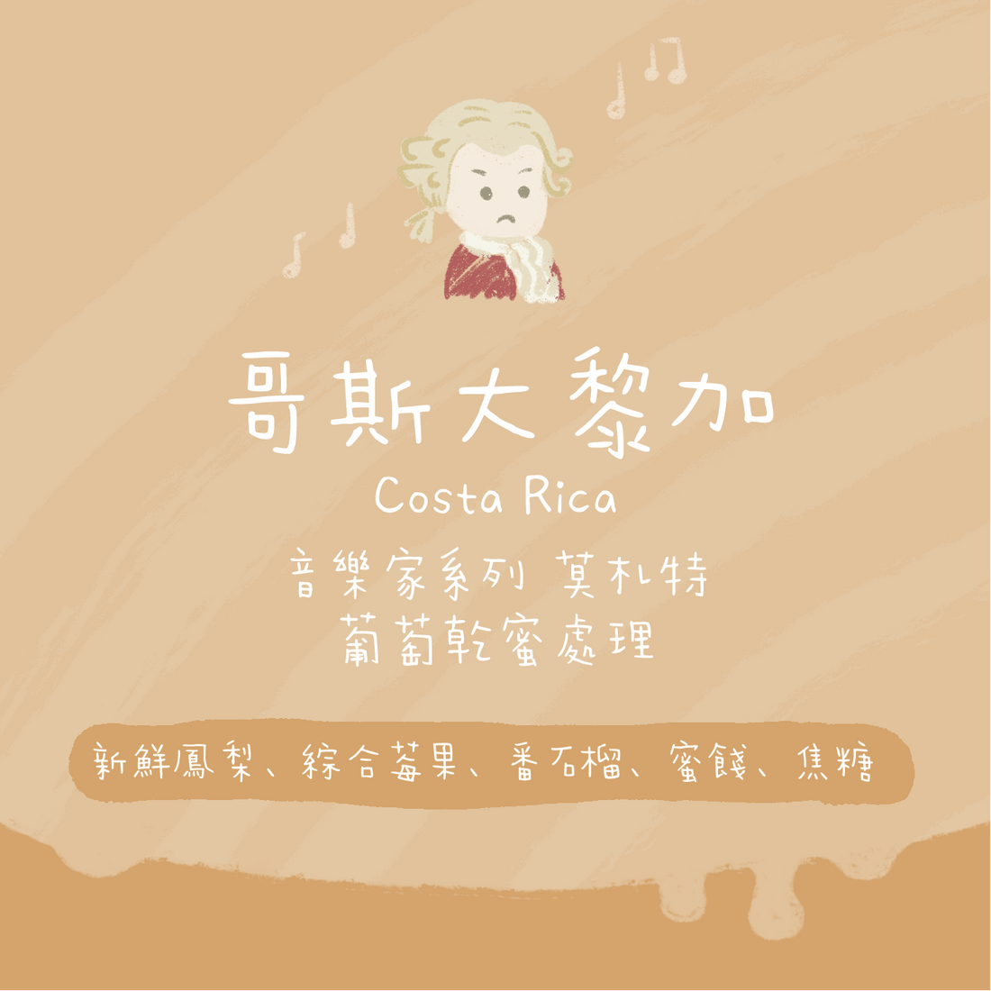 【2026最新莫札特✨】哥斯達黎加|卡內特 音樂家系列 莫札特 葡萄乾蜜處理 淺焙|咖啡豆 掛耳包