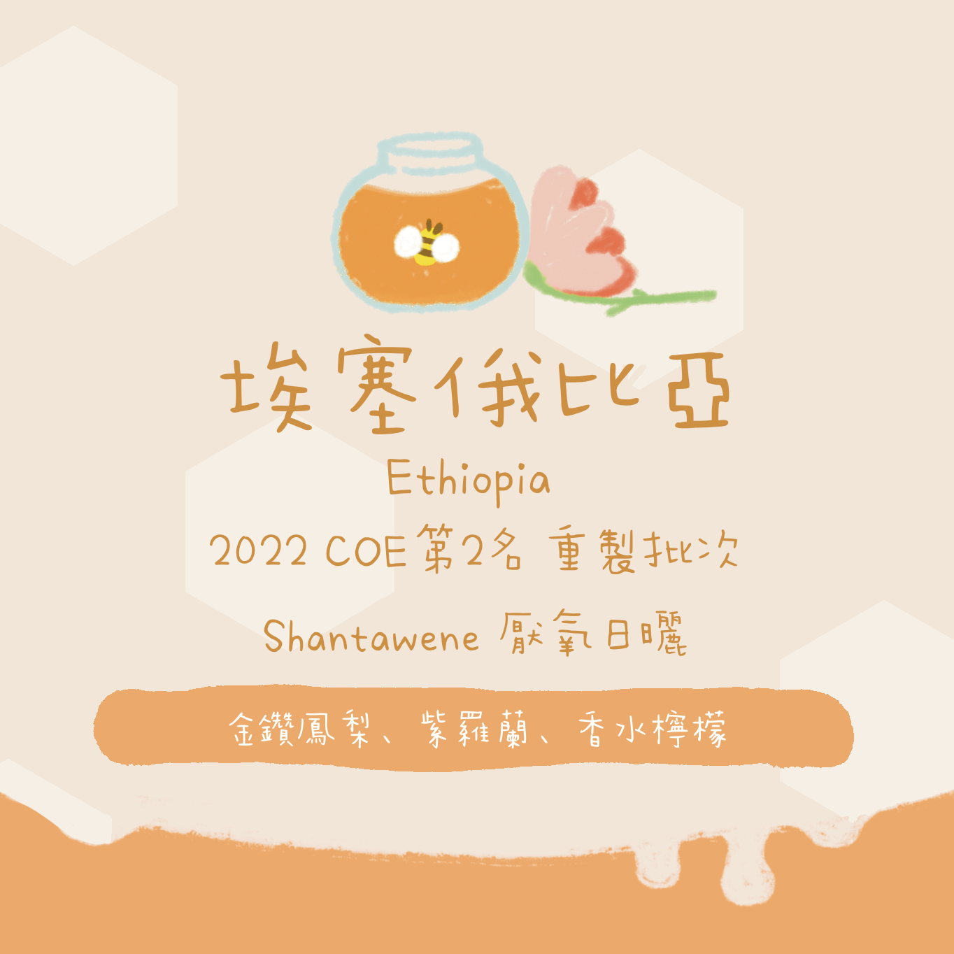 【最後幾包-競標重製批次】埃塞俄比亞|西達摩 班莎 聖塔維尼村 蓋迦莊園 74158 厭氧日曬 淺焙|咖啡豆 掛耳包