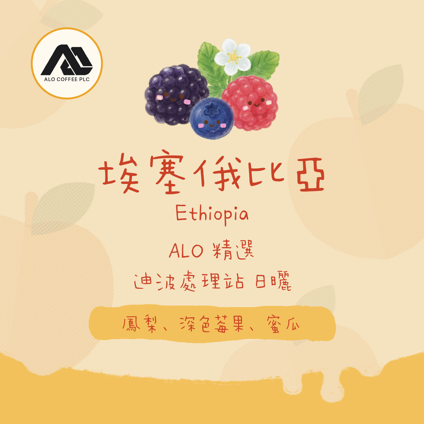 【✨2026 ALO精選】埃塞俄比亞|西爾西 ALO精選 迪波處理站 74158 G1 日曬 淺焙|咖啡豆 掛耳包