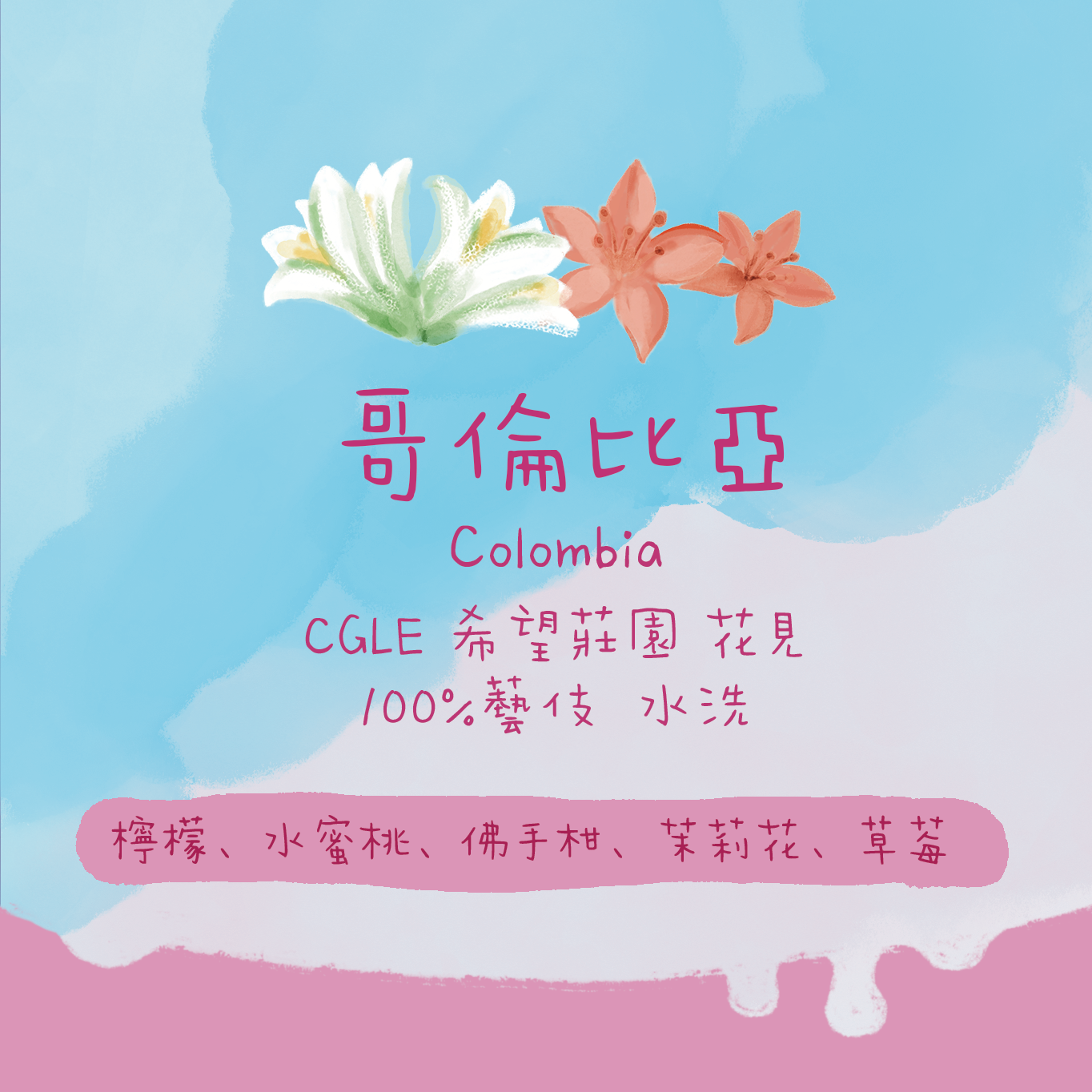 【🌸花見 藝伎】哥倫比亞|希望莊園 Hanami 花酌 藝伎/瑰夏 水洗處理 淺焙|咖啡豆 掛耳包