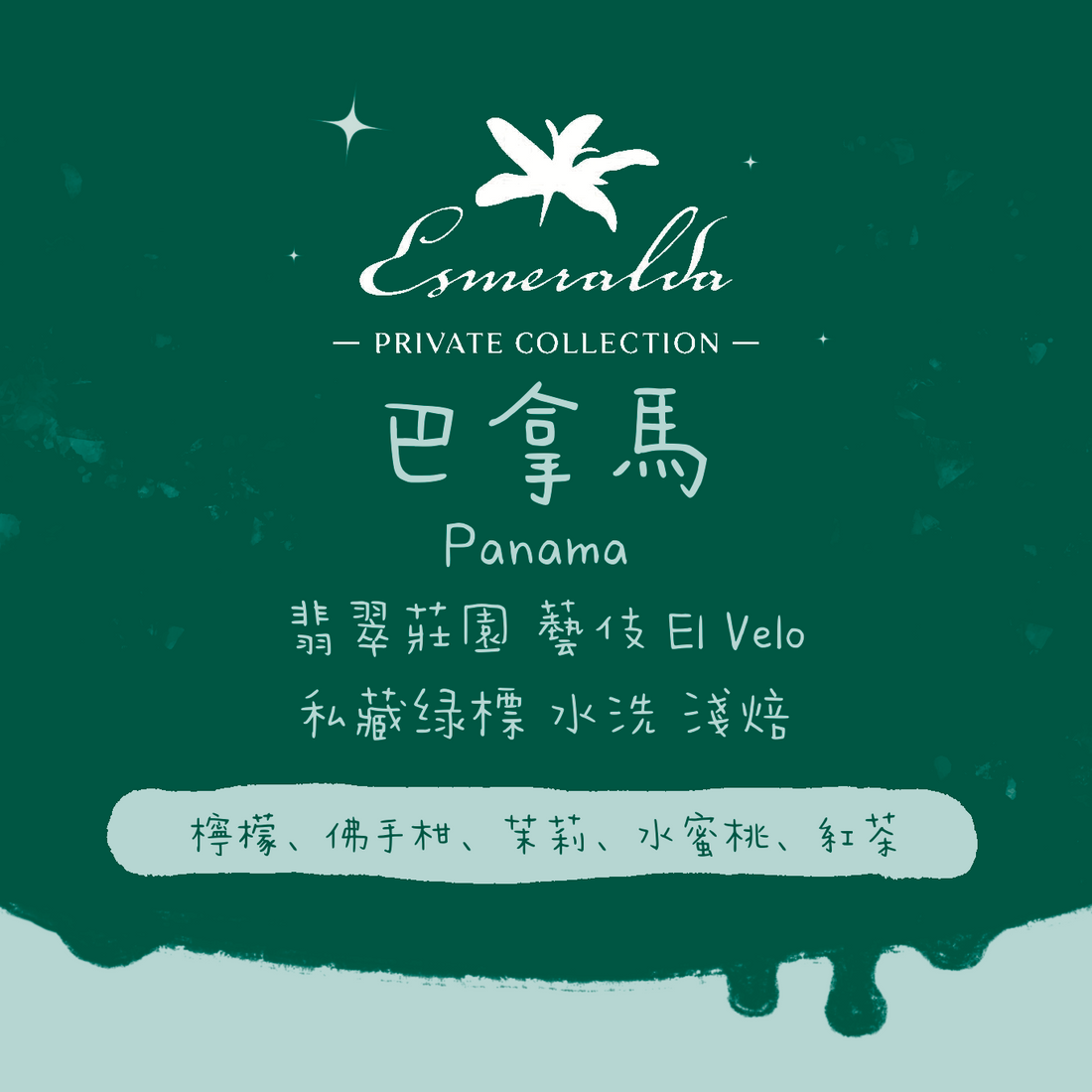 【2月19號21:00公開發售】巴拿馬|翡翠莊園 瑰夏/藝伎 El Velo 私藏綠標 淺焙|咖啡豆 掛耳包