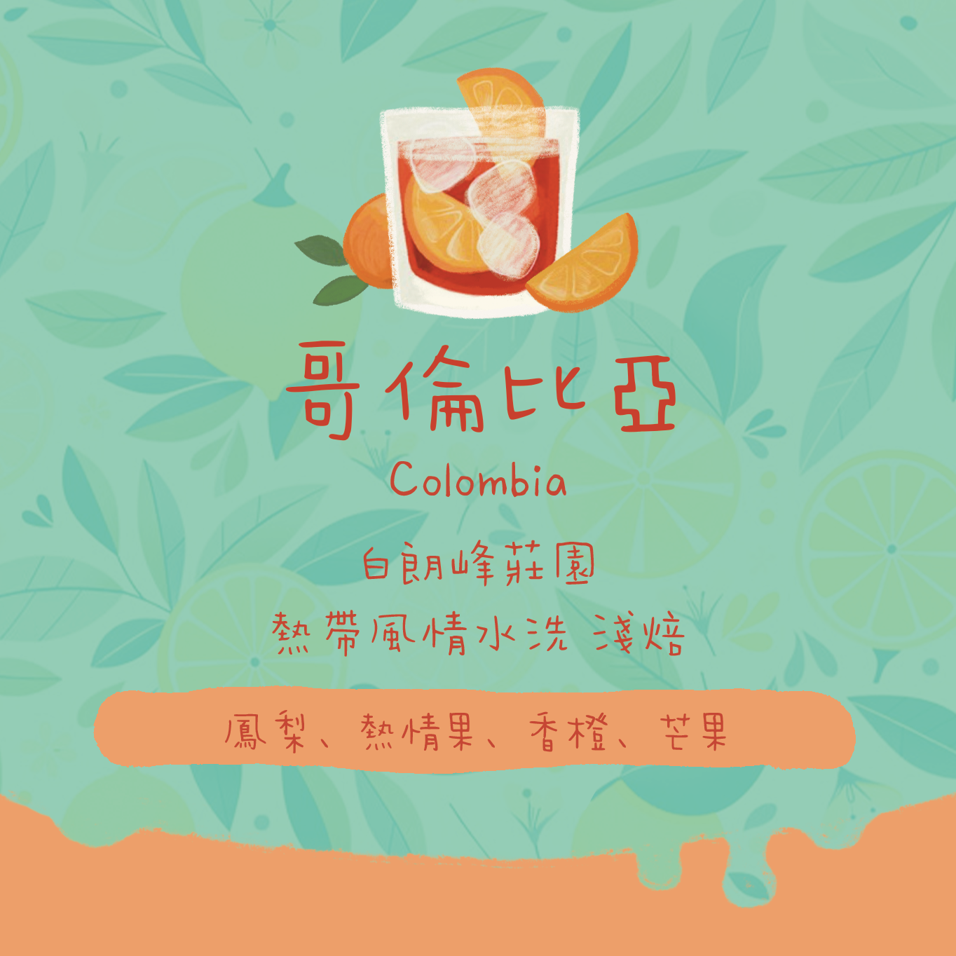 哥倫比亞|白朗峰莊園 熱帶風情水洗 淺焙|咖啡豆 掛耳包