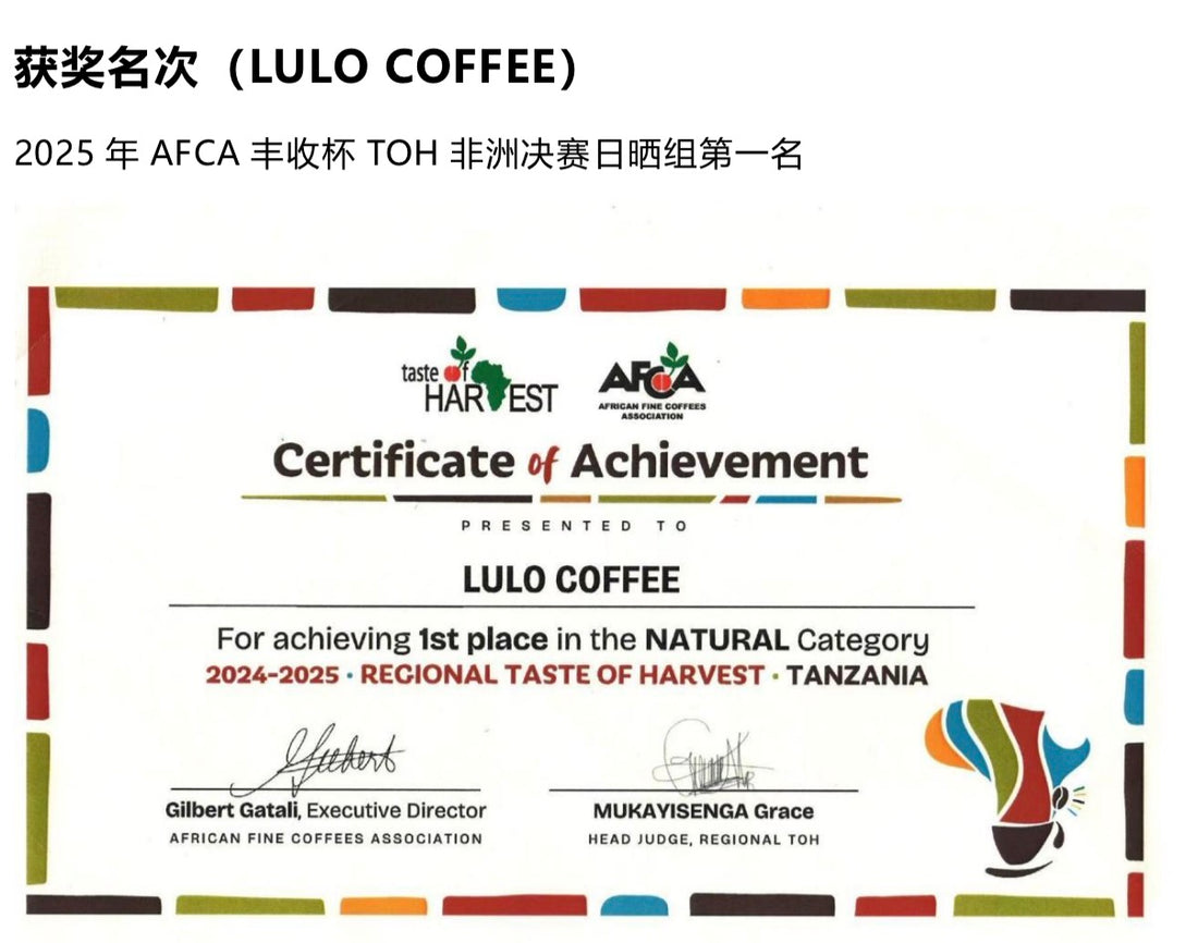 【冠軍級莊園🏆】埃塞俄比亞|LULO 古吉 罕貝拉 獅子王 辛巴 G1 日曬 淺焙|咖啡豆 掛耳包
