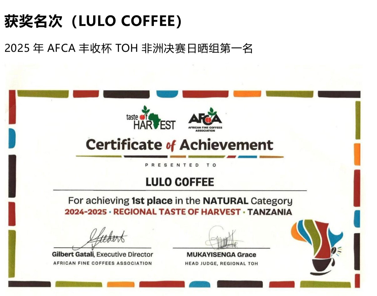 【冠軍級莊園🏆】埃塞俄比亞|LULO 古吉 罕貝拉 獅子王 辛巴 G1 日曬 淺焙|咖啡豆 掛耳包