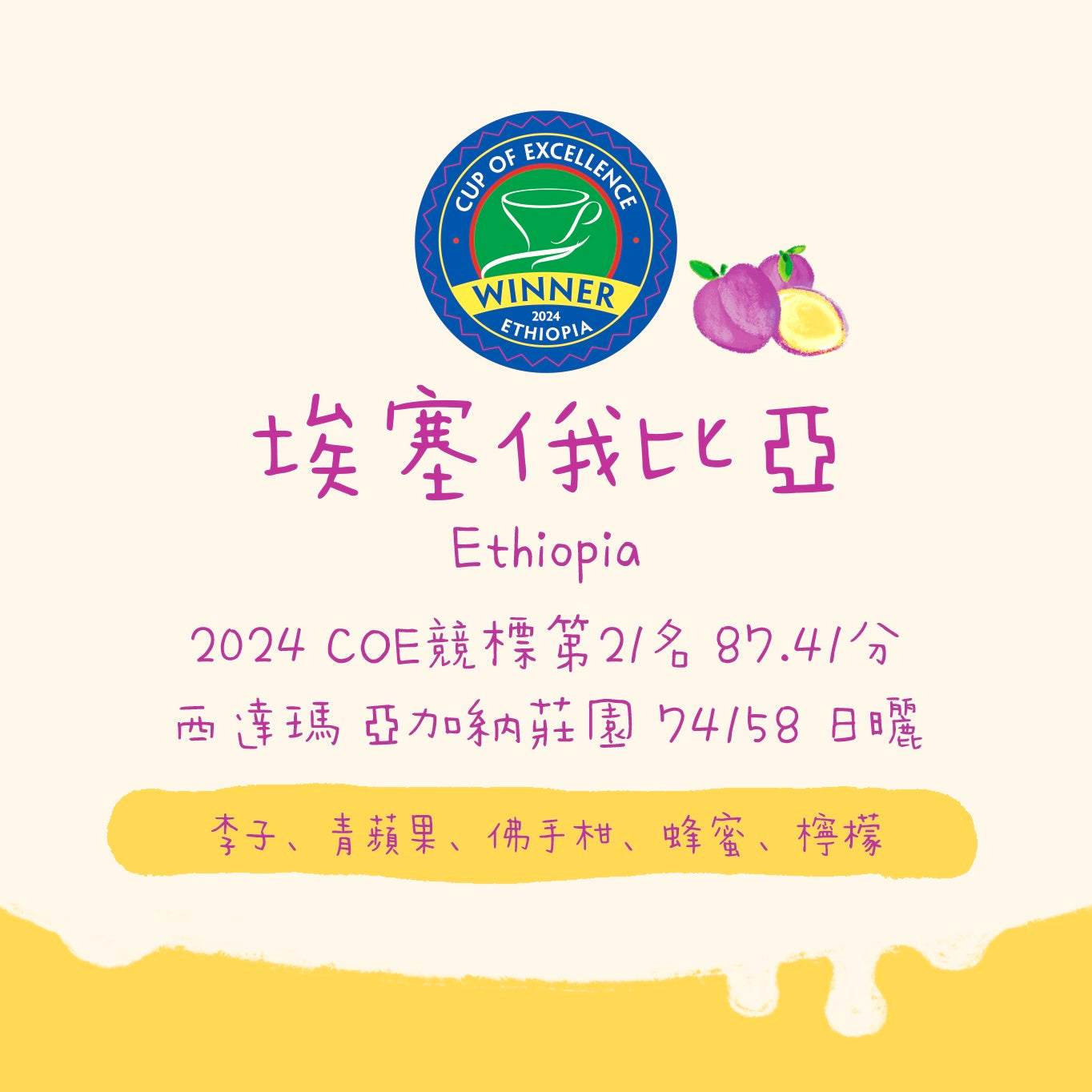 【最後少量】埃塞俄比亞|西達摩 班莎 阿貝果娜 亞加納莊園 74158 日曬 淺焙|咖啡豆 掛耳包