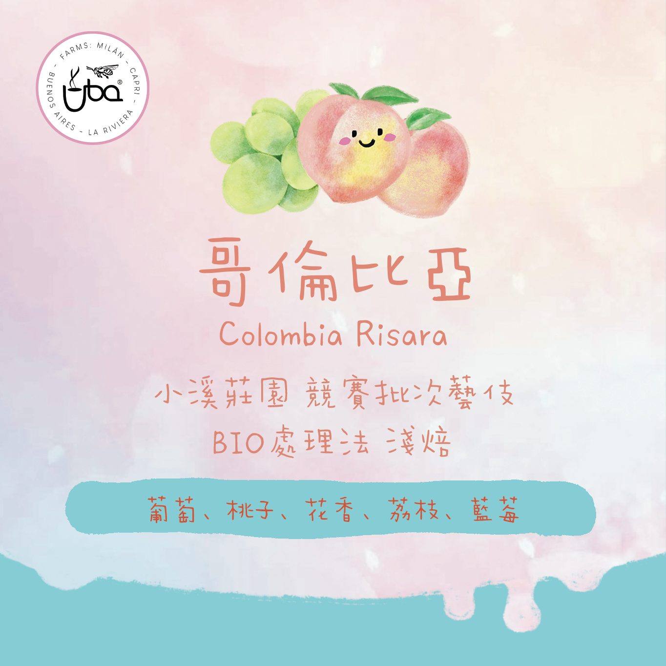 【比賽批次 - 果香盛宴】哥倫比亞|小溪莊園 競賽批次藝伎 BIO處理法 淺焙|咖啡豆 掛耳包