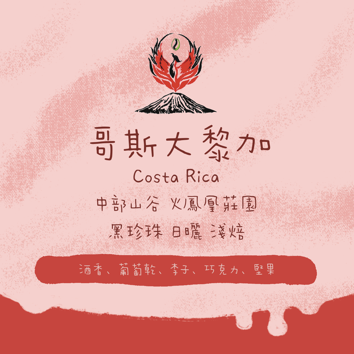【最後一爐 - 少量】哥斯大黎加|中部山谷 火鳳凰莊園 黑珍珠 日曬 淺焙|咖啡豆 掛耳包