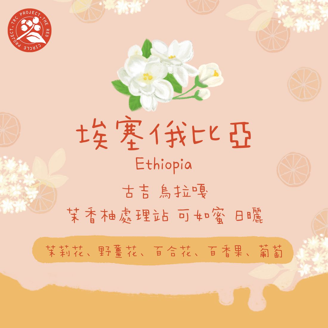 【2025新批次】埃塞俄比亞|古吉 烏拉嘎 茉香柚 Kurume 日曬 淺焙|咖啡豆 掛耳包