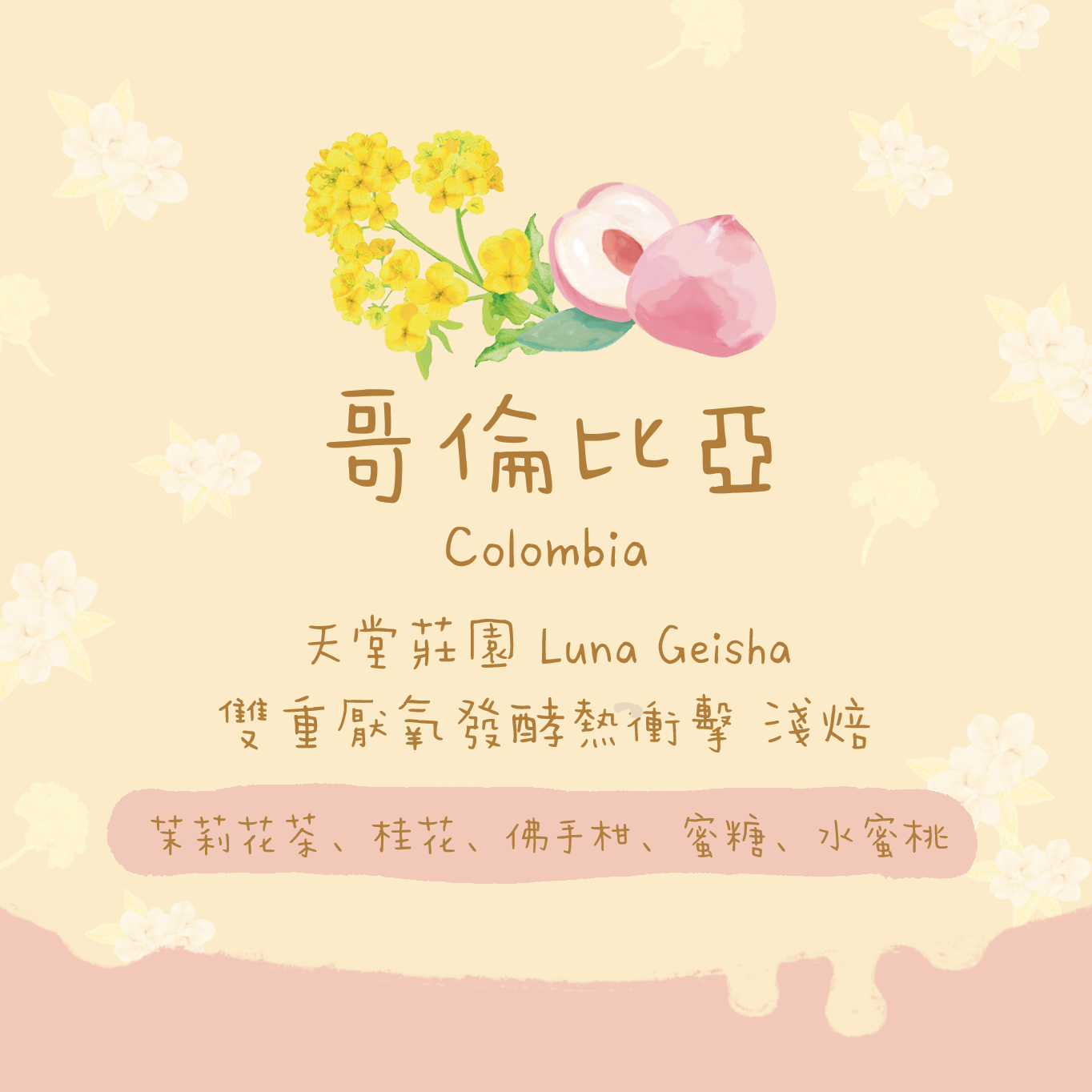 【成本分享$88/100g🤩】哥倫比亞|天堂莊園 酵母發酵 熱衝擊 Luna Geisha 淺焙|咖啡豆 掛耳包