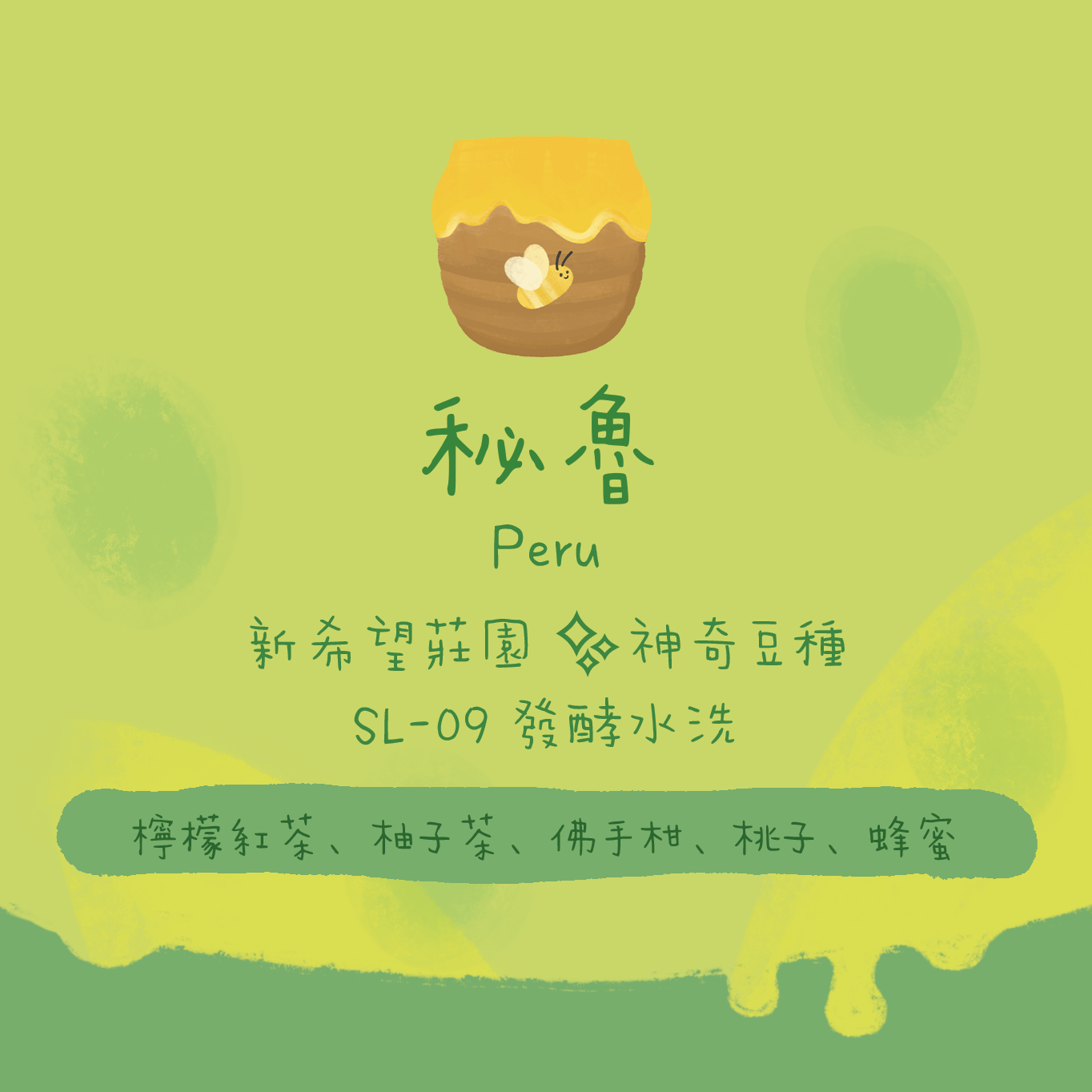 【✨神一般的奇異品種】秘魯|新希望莊園 Geisha Inca (SL-09) 發酵水洗 淺焙|咖啡豆 掛耳包