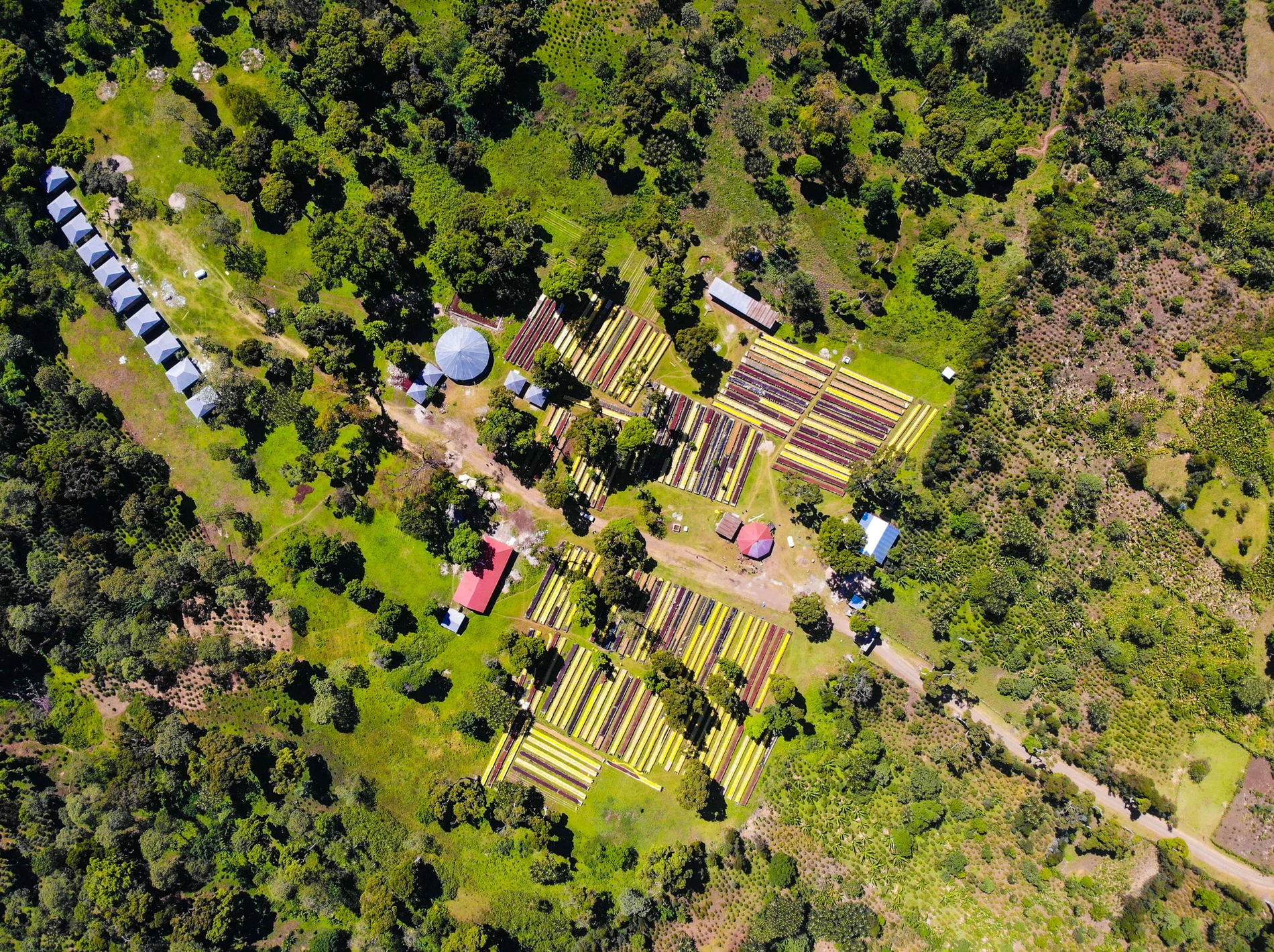 【必買🥳】埃塞俄比亞|西達摩 班莎 龐貝村 橘光舞妓 蜜處理 淺焙|咖啡豆 掛耳包