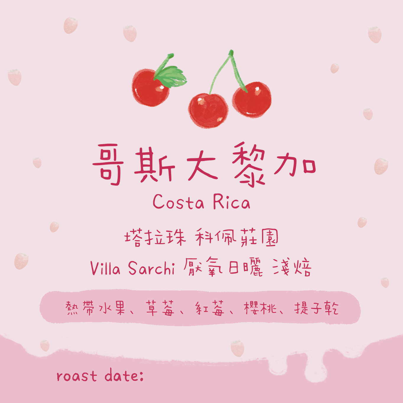 【名氣莊園-少量】哥斯大黎加|塔拉珠 科佩莊園 Villa Sarchi 厭氧日曬 淺焙|咖啡豆 掛耳包