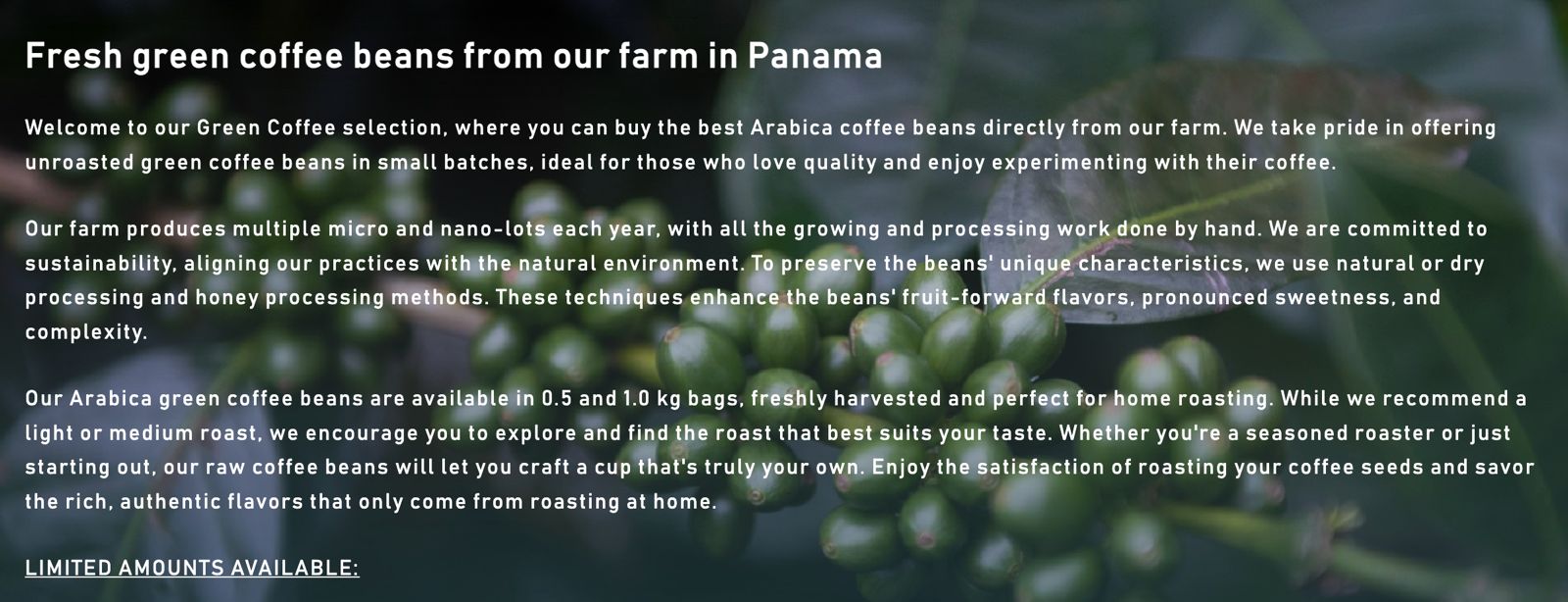 巴拿馬|De Cafe Panama Terroir 藝伎 蜜處理 淺焙|咖啡豆 掛耳包