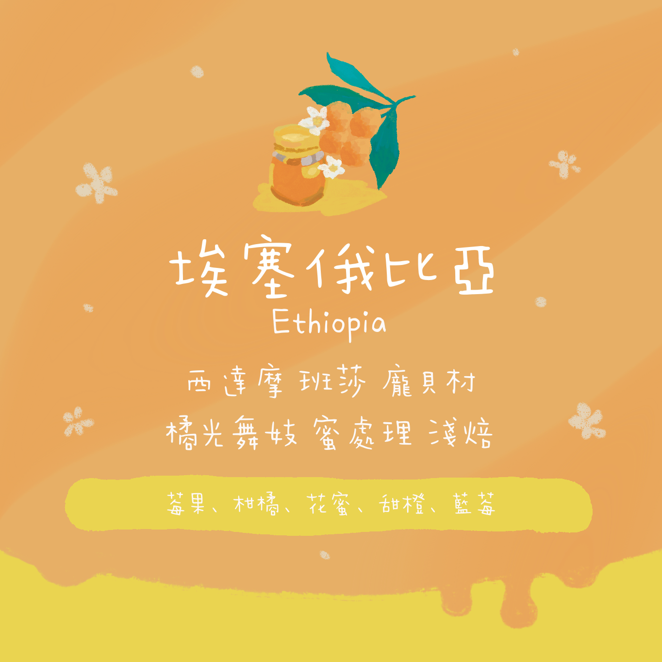 【必買🥳】埃塞俄比亞|西達摩 班莎 龐貝村 橘光舞妓 蜜處理 淺焙|咖啡豆 掛耳包