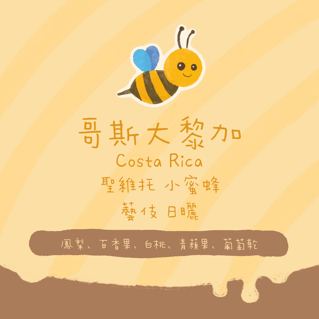 【最後少量】哥斯達黎加| 聖維托 小蜜蜂 藝伎/瑰夏 日曬 淺焙|咖啡豆 掛耳包