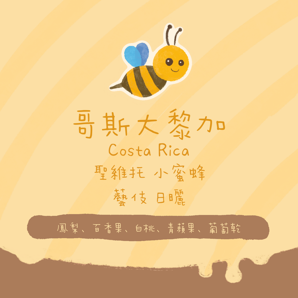 【少量✨】哥斯達黎加| 聖維托 小蜜蜂 藝伎/瑰夏 日曬 淺焙|咖啡豆 掛耳包