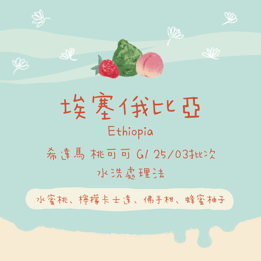 【必買の桃可可】埃塞俄比亞|希達馬 桃子甜心/桃可可 G1 25/03批次 水洗 淺焙|咖啡豆 掛耳包