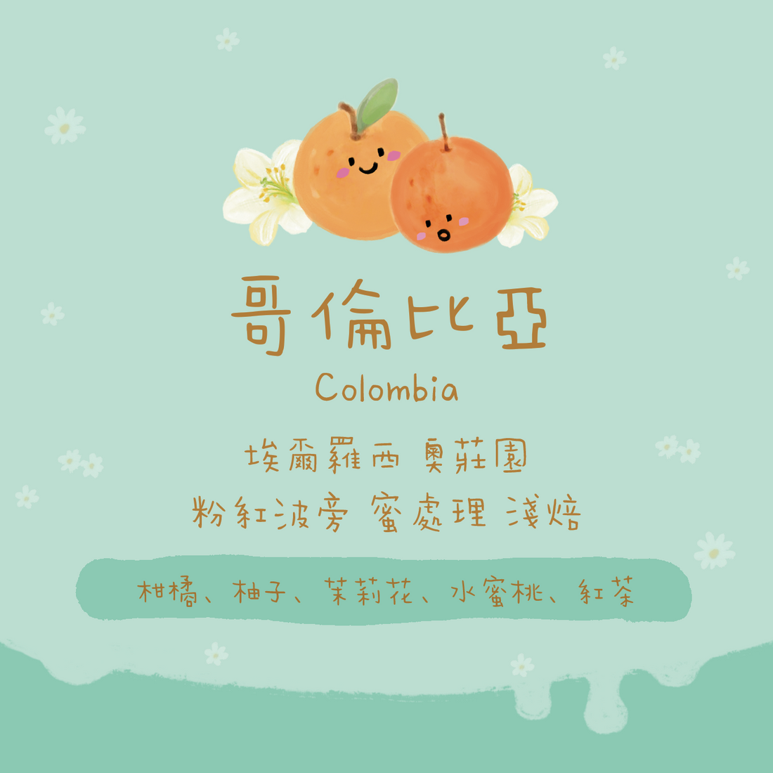 【新豆登場✨】哥倫比亞|慧蘭 埃爾羅西奧莊園 粉紅波旁 蜜處理 淺焙|咖啡豆 掛耳包