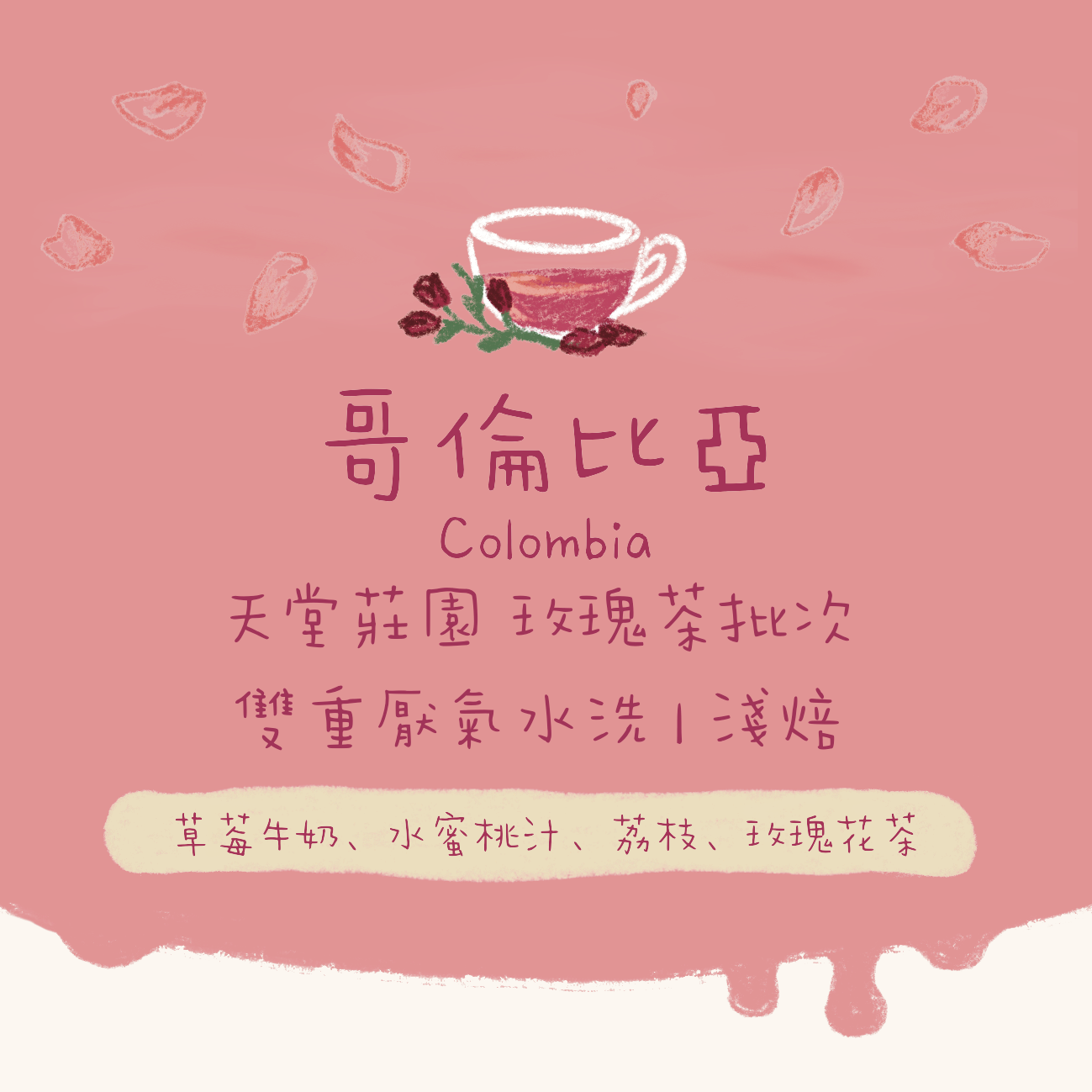 【必買 - 店主推介】哥倫比亞|天堂莊園 雙重厭氧發酵 玫瑰茶 淺焙|咖啡豆 掛耳包