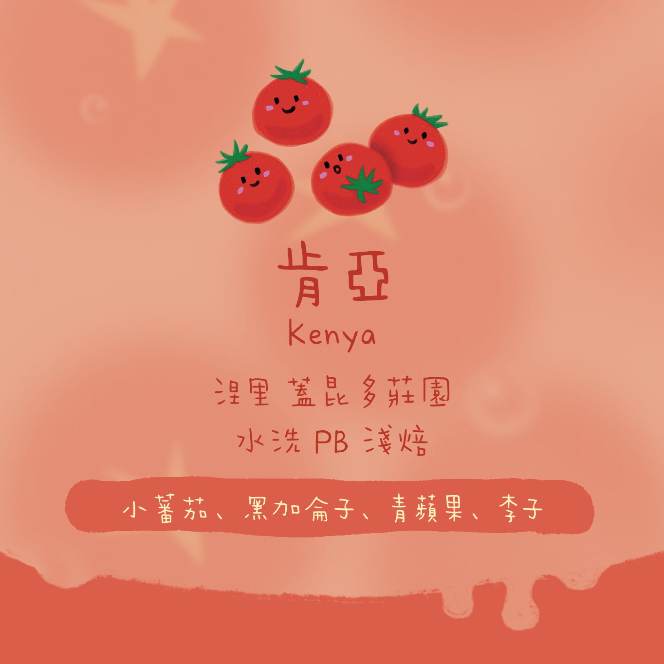 【小蕃茄🍅】肯亞|涅里 蓋昆多處理站 PB 水洗 淺焙|咖啡豆 掛耳包