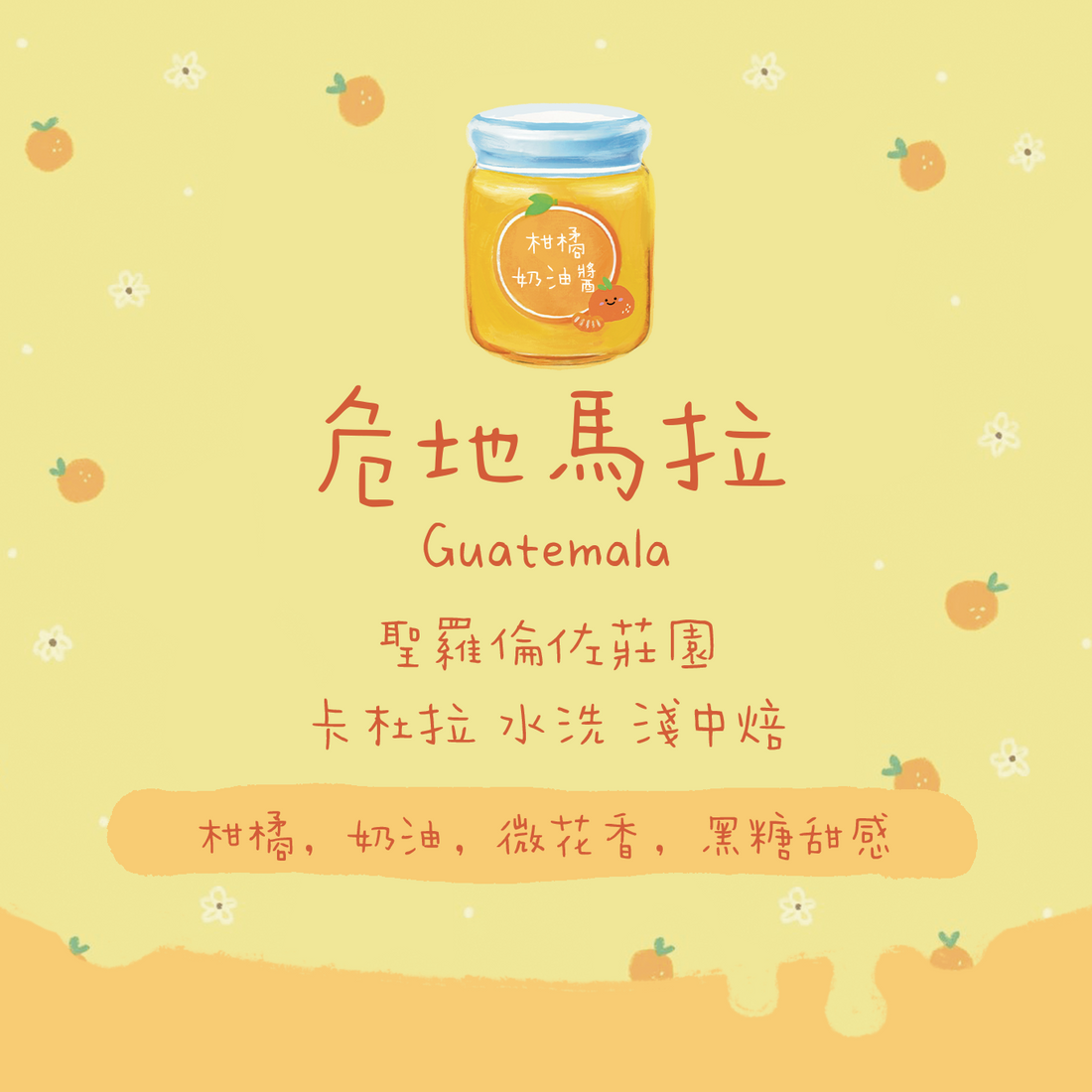 【新豆登場✨】危地馬拉|聖羅倫佐莊園 卡杜拉 水洗 淺焙|咖啡豆 掛耳包