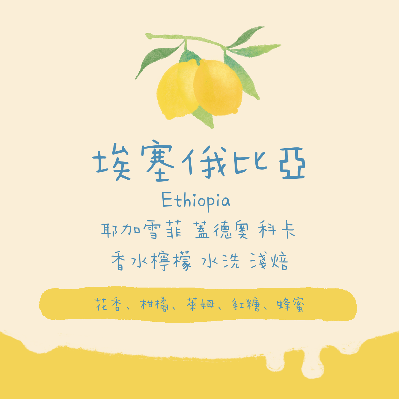 【香水檸檬🍋】埃塞俄比亞| 耶加雪菲 蓋德奧 科卡 香水檸檬 水洗 淺焙|咖啡豆 掛耳包