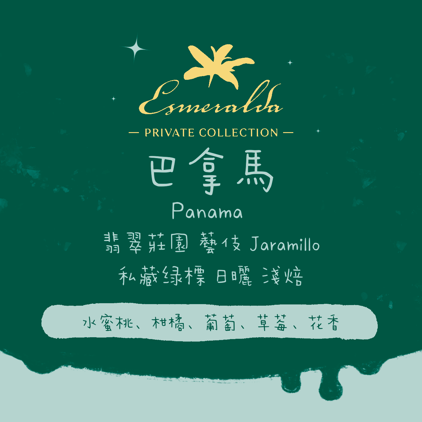 【勁爆🎊第二件半價!】巴拿馬|翡翠莊園 Hacienda La Esmeralda 藝伎 綠標 淺焙|咖啡豆 掛耳包