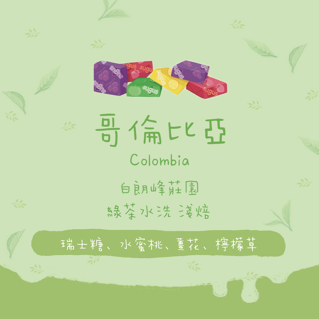 【瑞士糖🍬】哥倫比亞|伊甸園 綠茶水洗 淺焙|咖啡豆 掛耳包