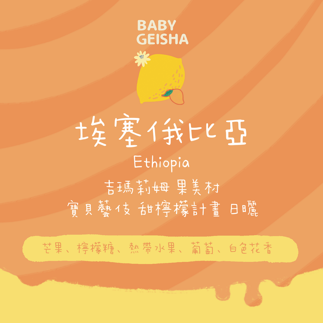 埃塞俄比亞Baby Geisha 寶貝藝伎咖啡豆