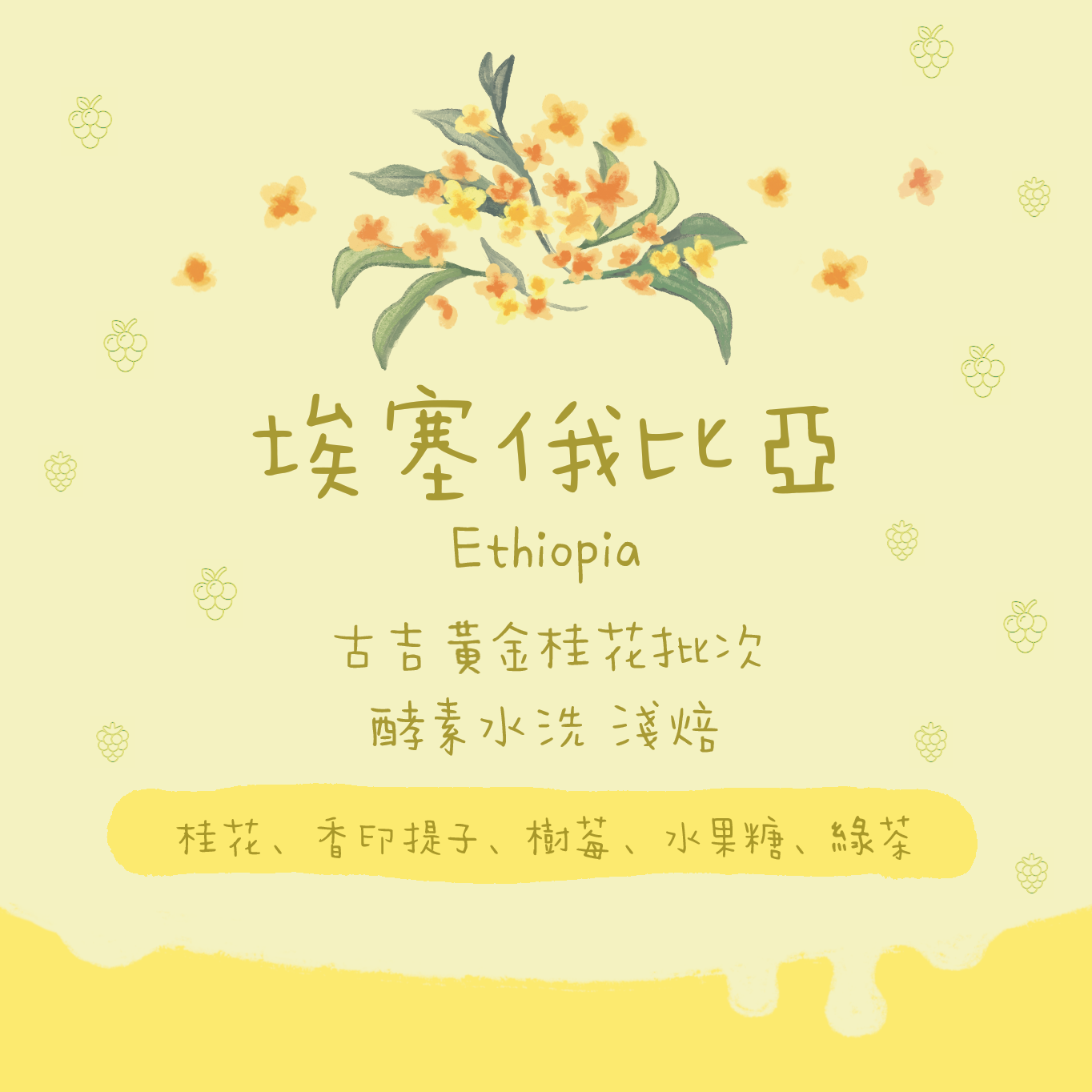 【必試桂花糕🌼】埃塞俄比亞|安娜索拉 黃金桂花批次 酵母水洗 淺焙|咖啡豆 掛耳包
