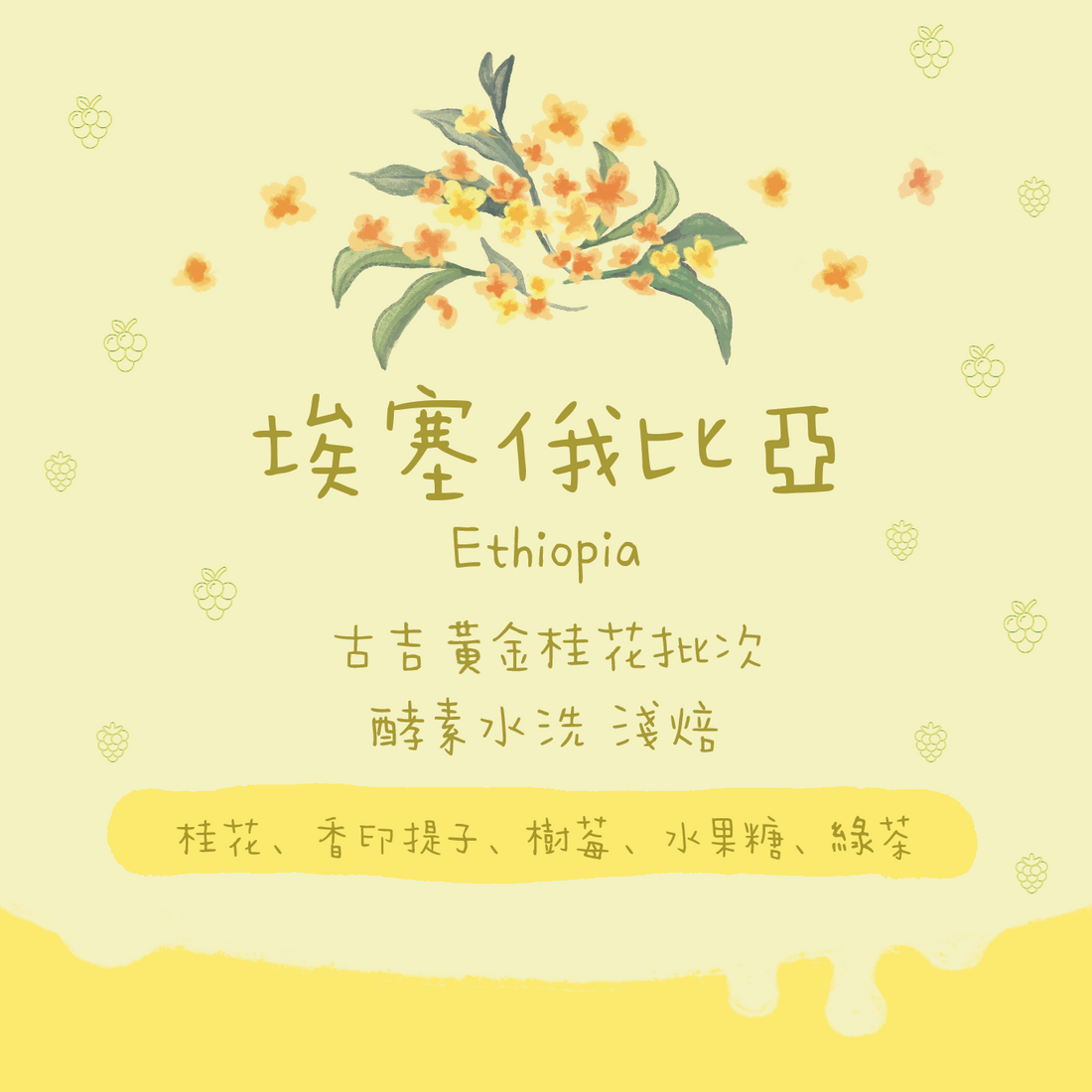 【必試桂花糕🌼】埃塞俄比亞|安娜索拉 黃金桂花批次 酵母水洗 淺焙|咖啡豆 掛耳包