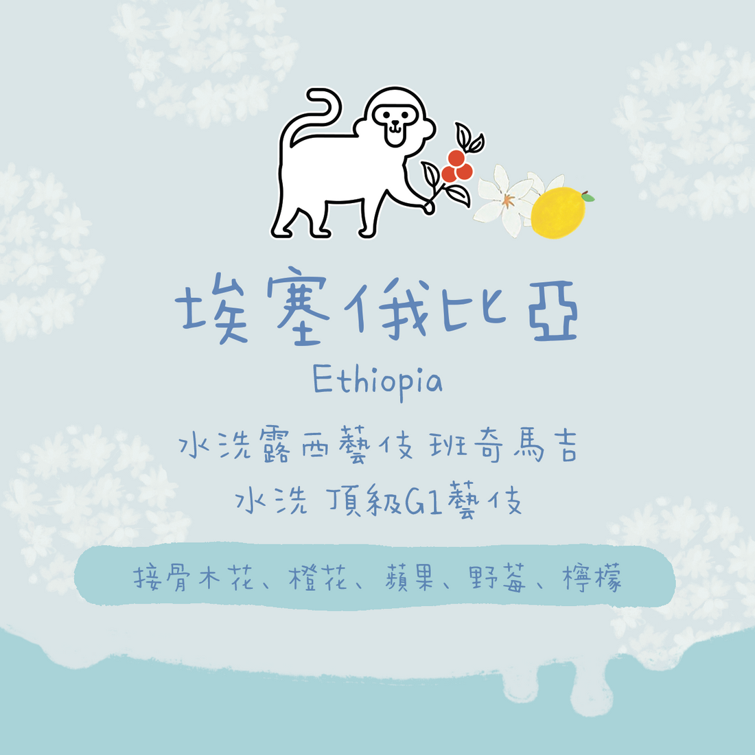 【最新批次✨】埃塞俄比亞|班奇馬吉 露西藝伎 水洗 頂級G1 淺焙|咖啡豆 掛耳包